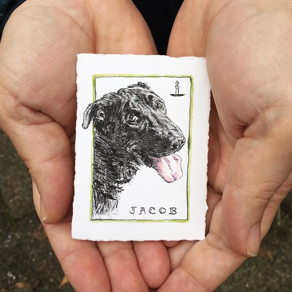 Animal Cards
