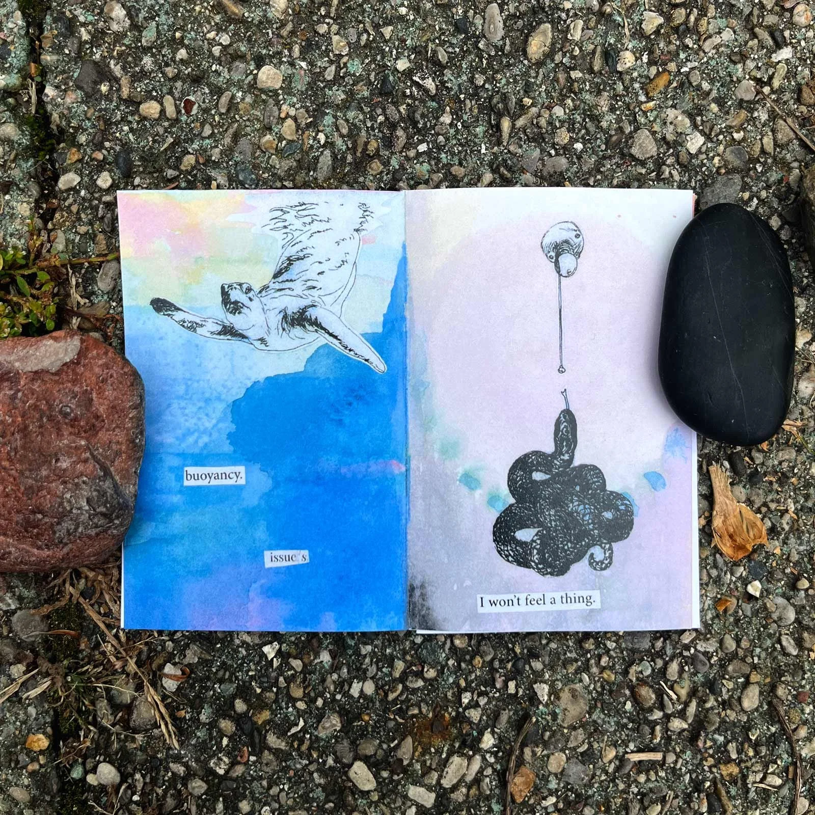 Excerpt from "sheltered." mini zine (collaboration with Jill Therrien of Rooted in Sky)