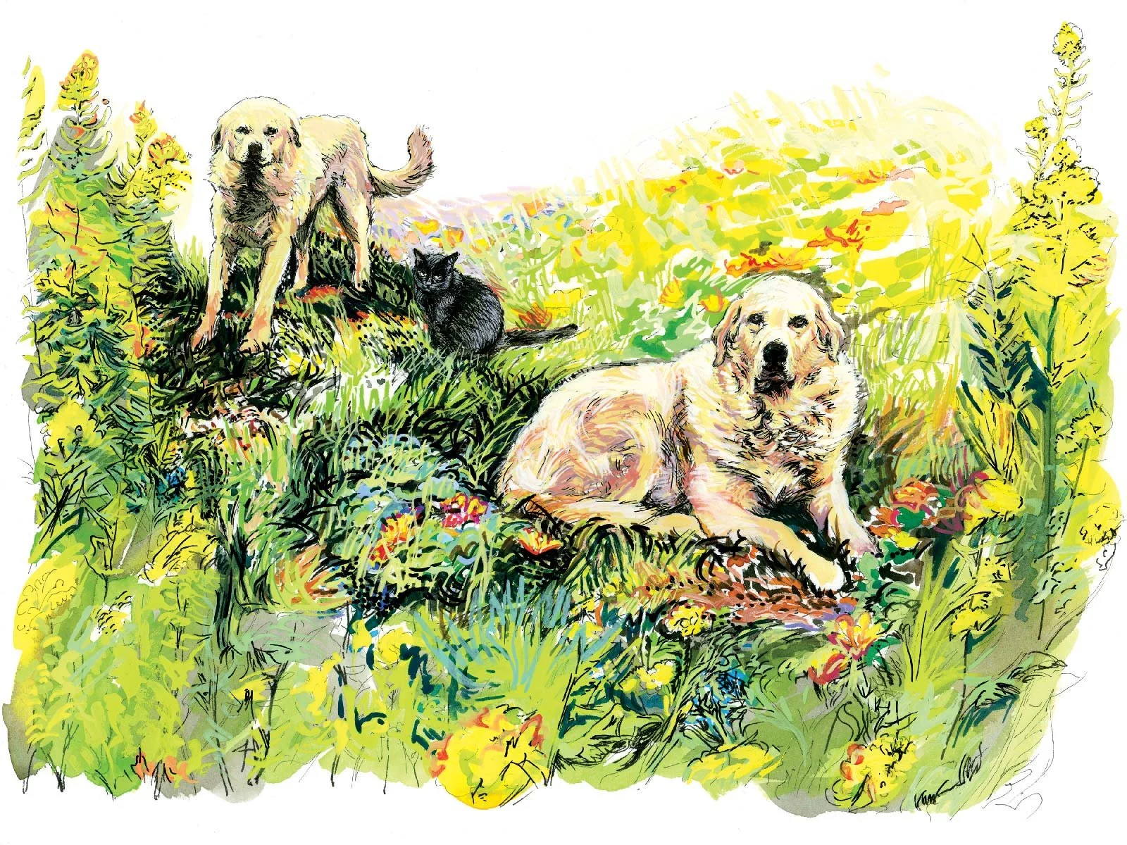 ds-embree_esoteric-artist-specializing-in-commissioned-portraits-animal-portraits-and-cosmic-art_black-cat_pyrenees-anatolian.jpg