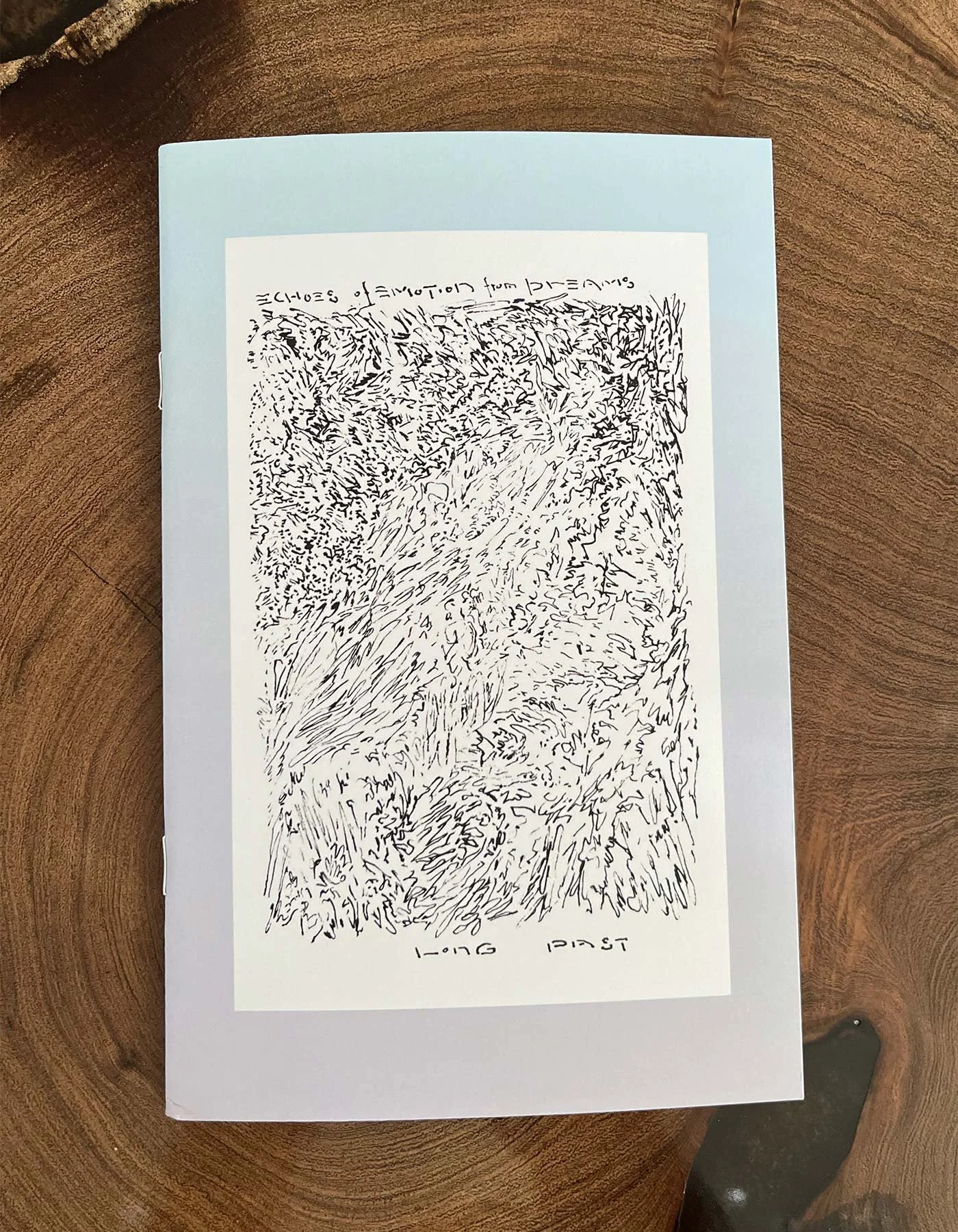 ECHOES OF EMOTION Zine