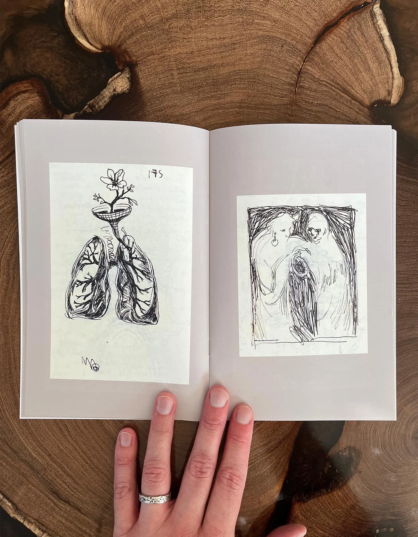 ds-embree_esoteric-artist-illustrator--portraits-zines-animal-portraits_zine_echoes-of-emotion-from-dreams_flower-lungs_figures-embrace.jpg