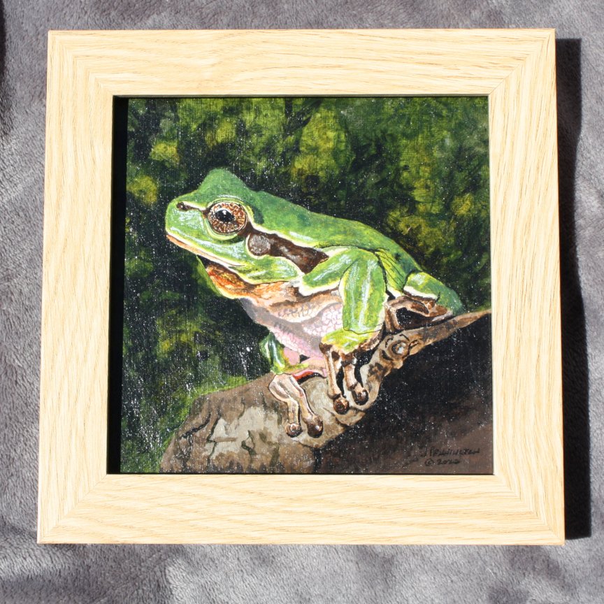 "Tree Frog" - 6x6 acrylics on stretched canvas