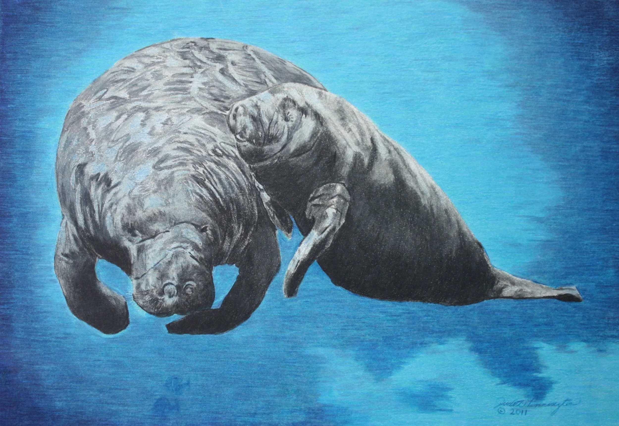 Manatee Mother with Calf - Color - SOLD! — Pink Curler Studio