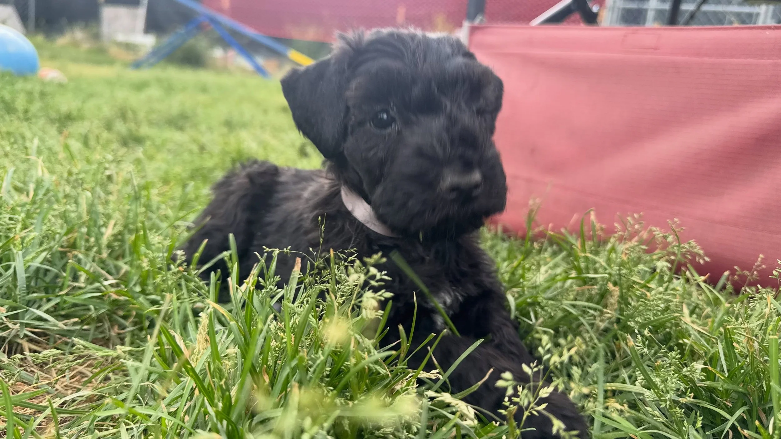 She&rsquo;s really too cute for her own good.