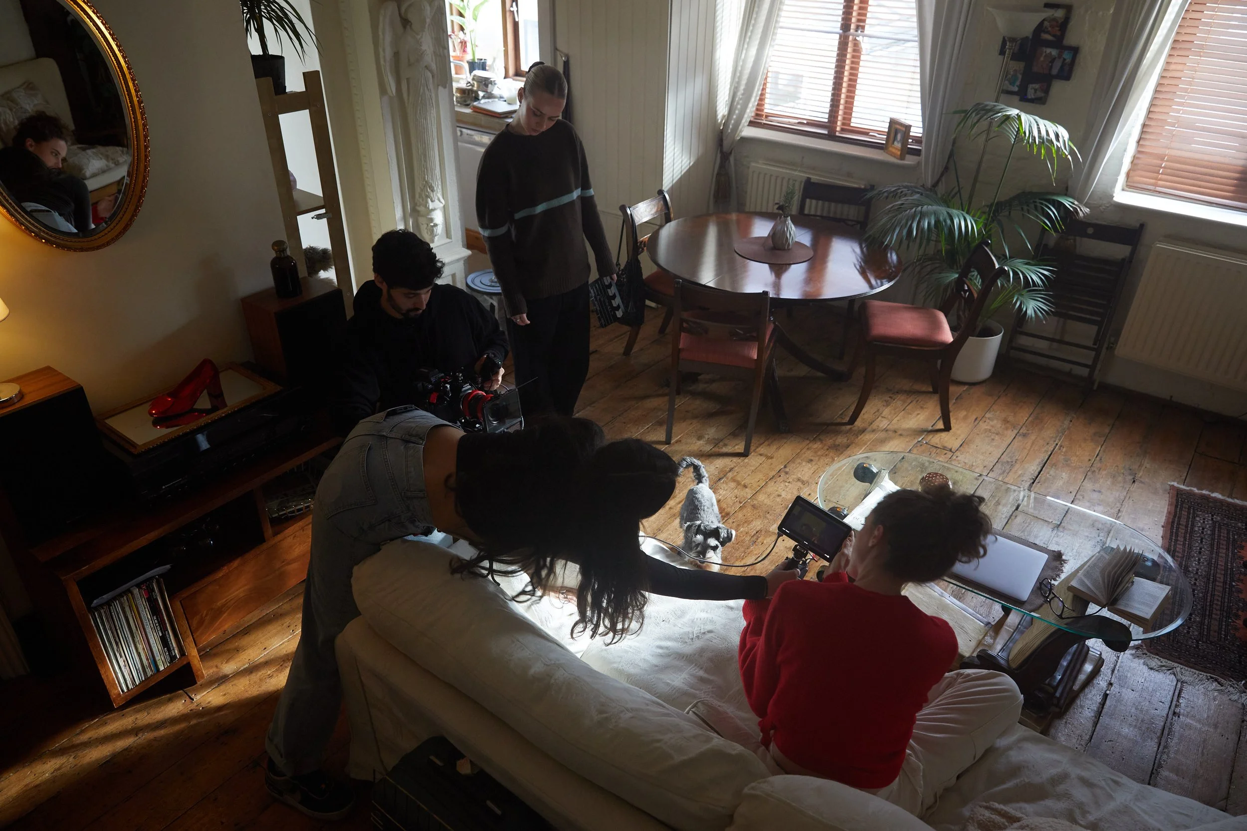 A group of people filming a dog in a cozy living room with wooden floors, a glass coffee table, a round dining table with chairs, and large windows with curtains.