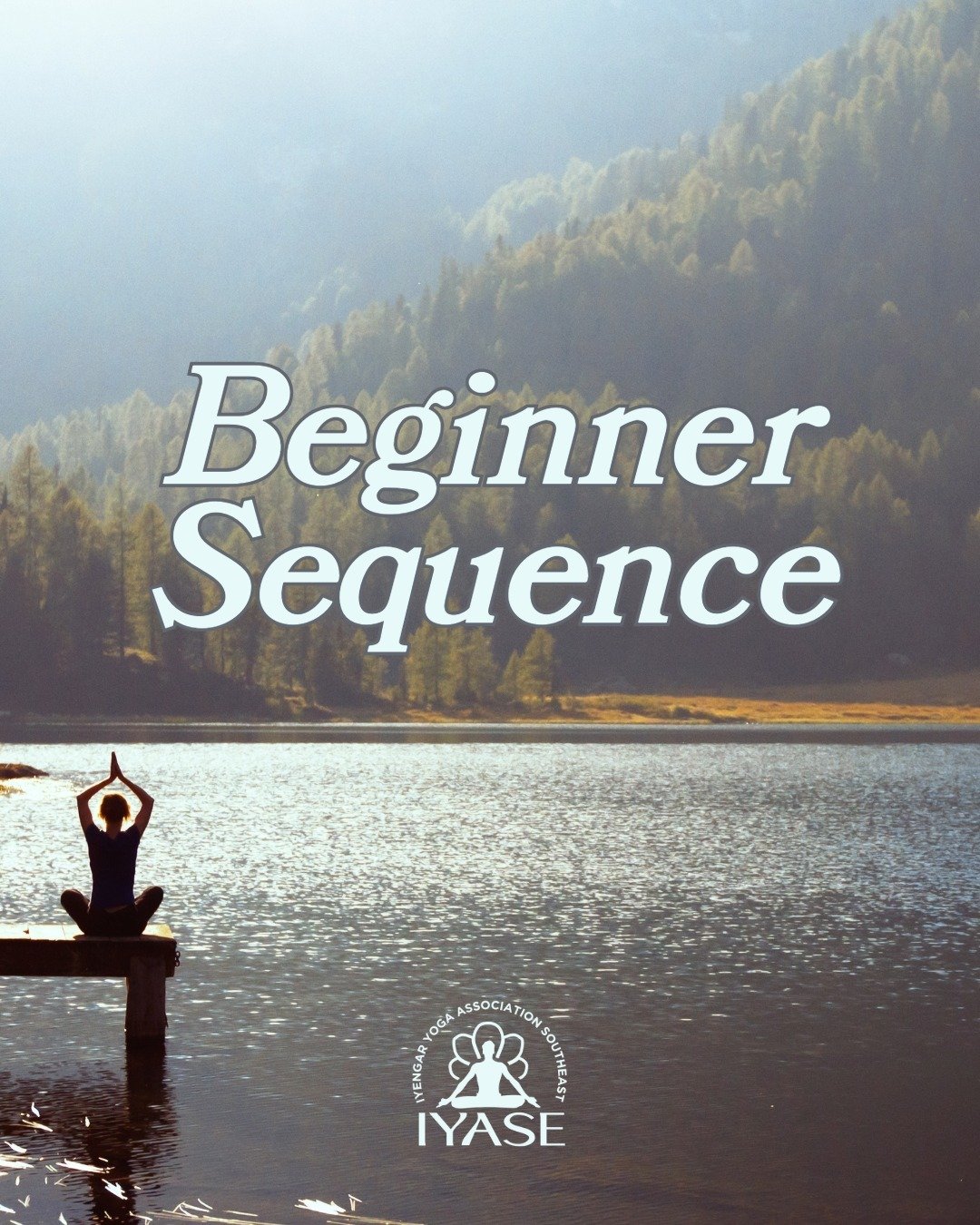 Happy #WorkshopWednesday from IYASE!
This beginner sequence is from @iynaus 
More sequences can be found on the IYNAUS website under 'Study' &gt; 'Beginners Home Practice'
Happy Practicing! ❤️

#iyengar #iyengaryoga #iyengaryogase #beginneryogasequen