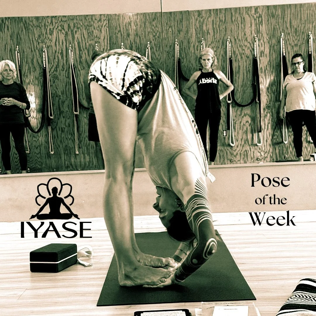 Ella Ran, CIYT Level 1, demonstrates Padahastasana, Foot to Hand Pose Pada - Foot Hasta - Hand Asana - Pose The abdominal organs are toned and digestive tract juices increase, while the liver and spleen are activated Persons suffering from a bloating