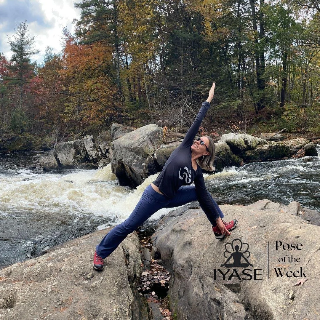 Julia Morozova-Soto, CIYT, Level 1, demonstrates Utthita Parsvakonasana, Extended Side Angle Pose Utthita - extended or stretched Parsva - side or flank Kona - angle Asana - pose In this asana, the flank remains stretched at an angle Extended Side An
