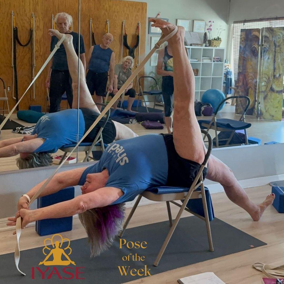 Lisa Waas, CIYT Level 3, presents Eka Pada Viparita Dandasana, One-legged Inverted Staff Pose Eka Pada: one leg Viparita: reverse or inverted Danda: staff or rod, a symbol of authority as well as the body and its prostration Asana: Posture This pose 