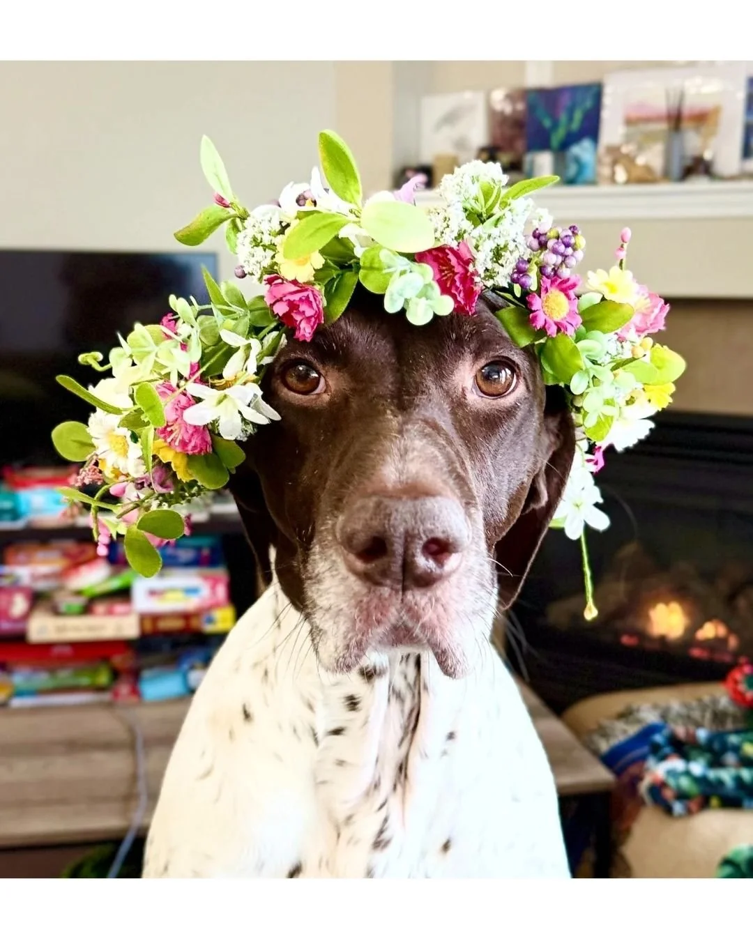 Handmade Flower Crown 