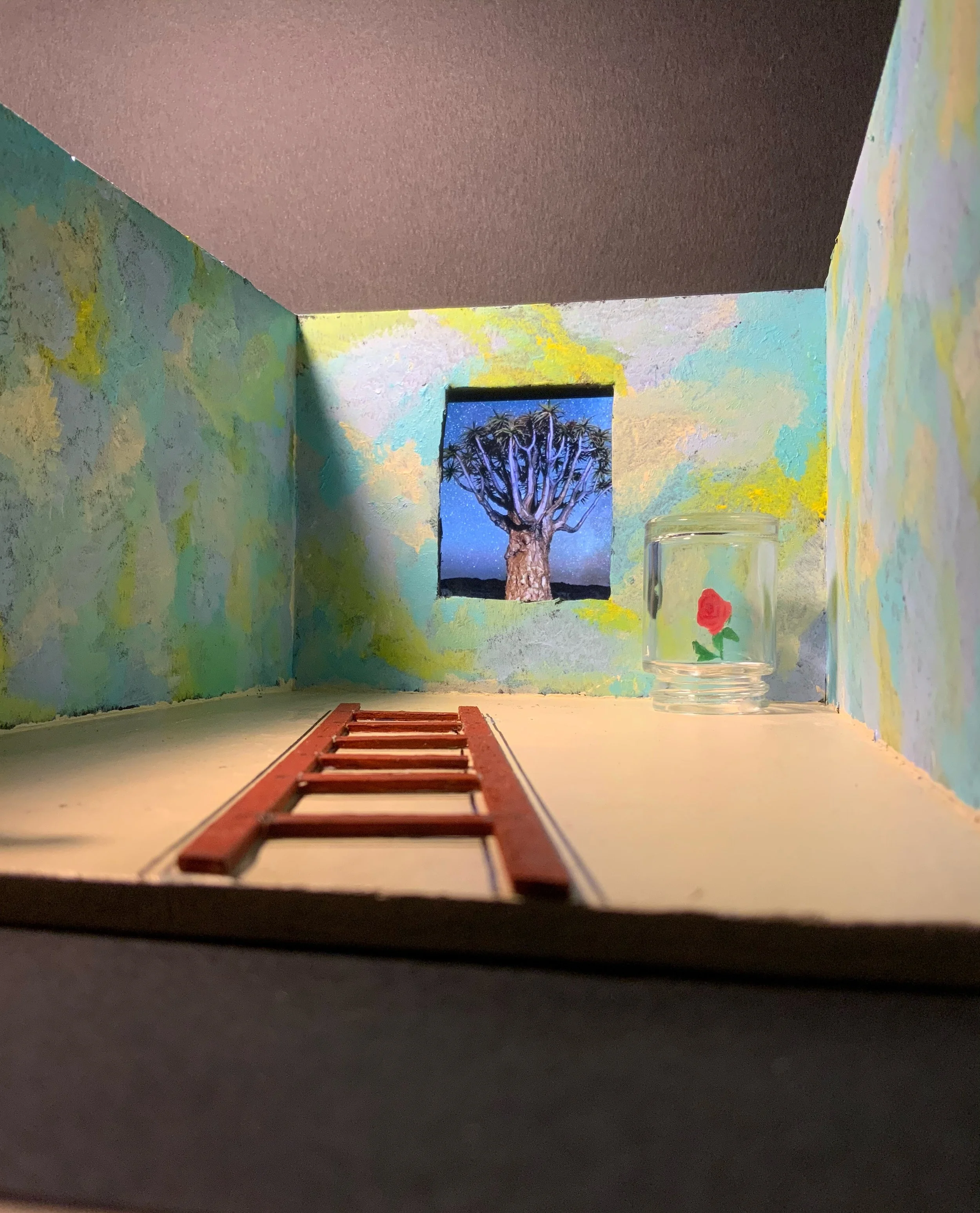 The Little Prince Cornell Box