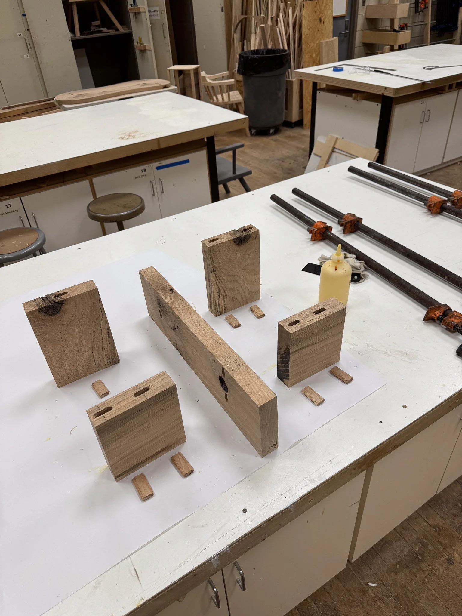 IMG_6653.jpg