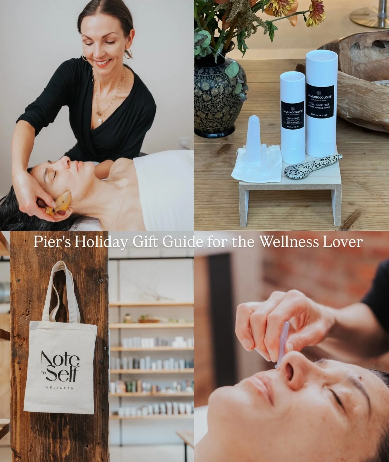For the loved one who lives for rituals, glowy skin, and moments of calm&mdash;these are Pier&rsquo;s (acupuncturist &amp; co-owner) top picks to elevate any daily wellness practice. 🎁💝✨

Immunocologie Vital Ionic Mist &amp; Face Serum
A luxurious 