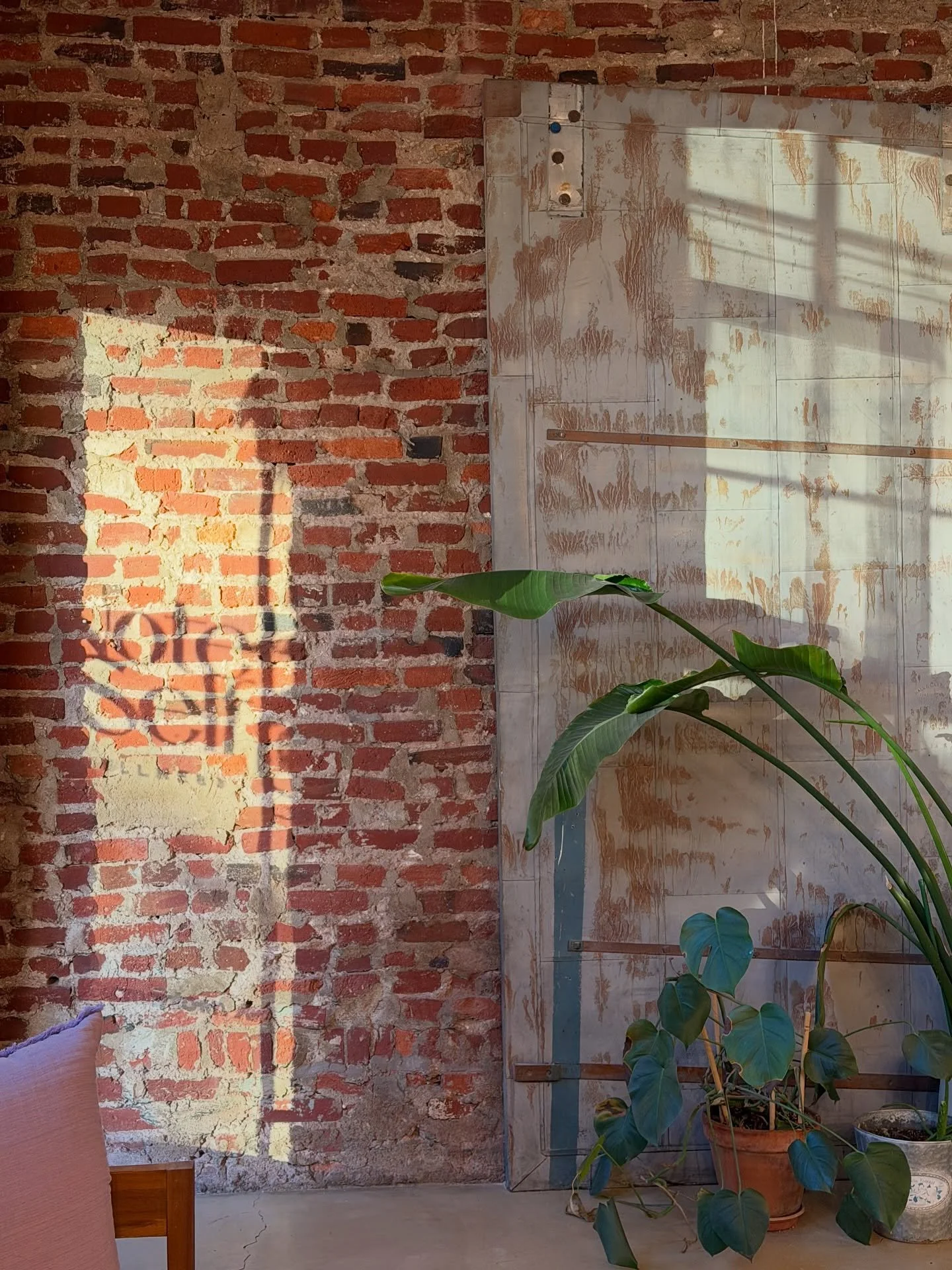 Happy March! Spring is in the air ✨🌷🍃 As the days grow longer and the sunlight lingers a little later, it&rsquo;s the perfect time to embrace renewal, refresh your energy, and prioritize you. Spring is almost among us and it is a season of new begi