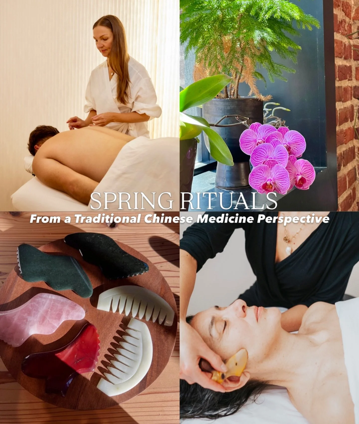 Spring is a season of renewal&mdash;and in Traditional Chinese Medicine, it&rsquo;s the time to support the Liver, the organ system associated with growth, movement, and emotional flow. 🌷✨🌱

Here are a few simple spring rituals to help you stay bal