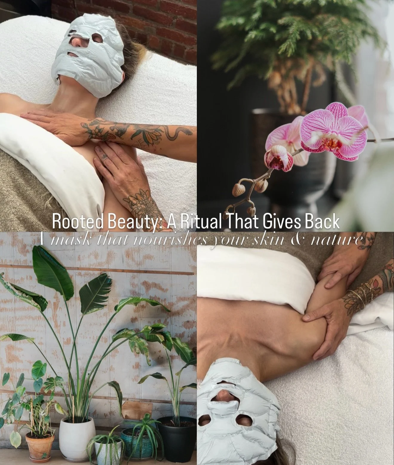 In honor of Arbor Day, we&rsquo;re reflecting on the quiet power of plants&mdash;the way they sustain, restore, and bring us back into balance. In a world where toxins surround us, trees and botanicals do what they&rsquo;ve always done: purify, oxyge