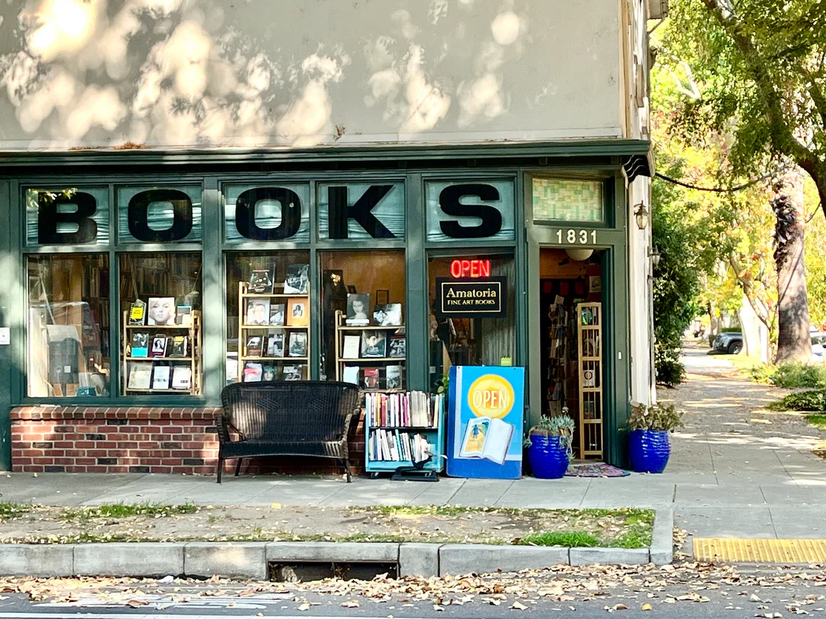 The Stacks with Åna Tri at Amatoria Fine Art Books