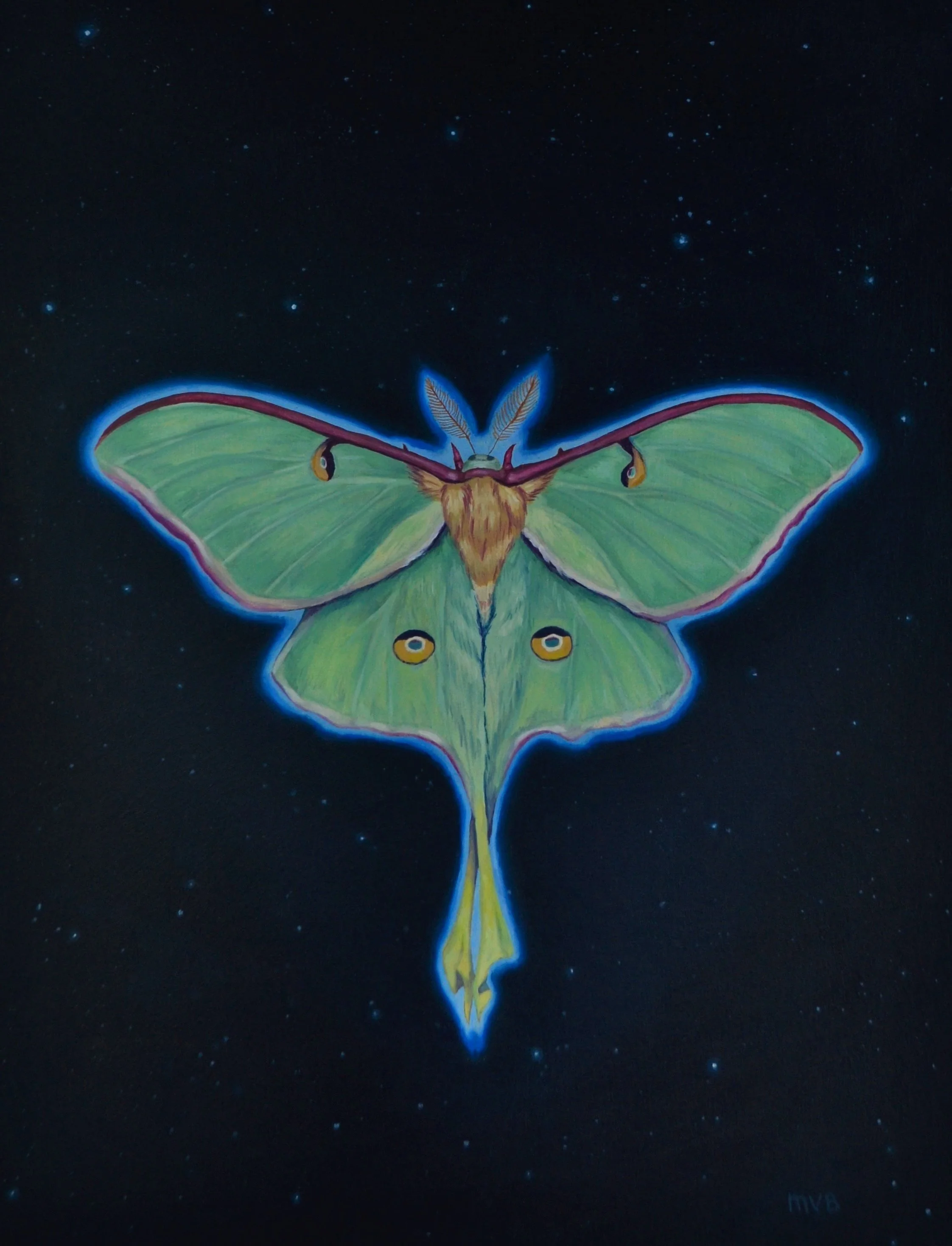 029.LunaMoth.2020.jpg