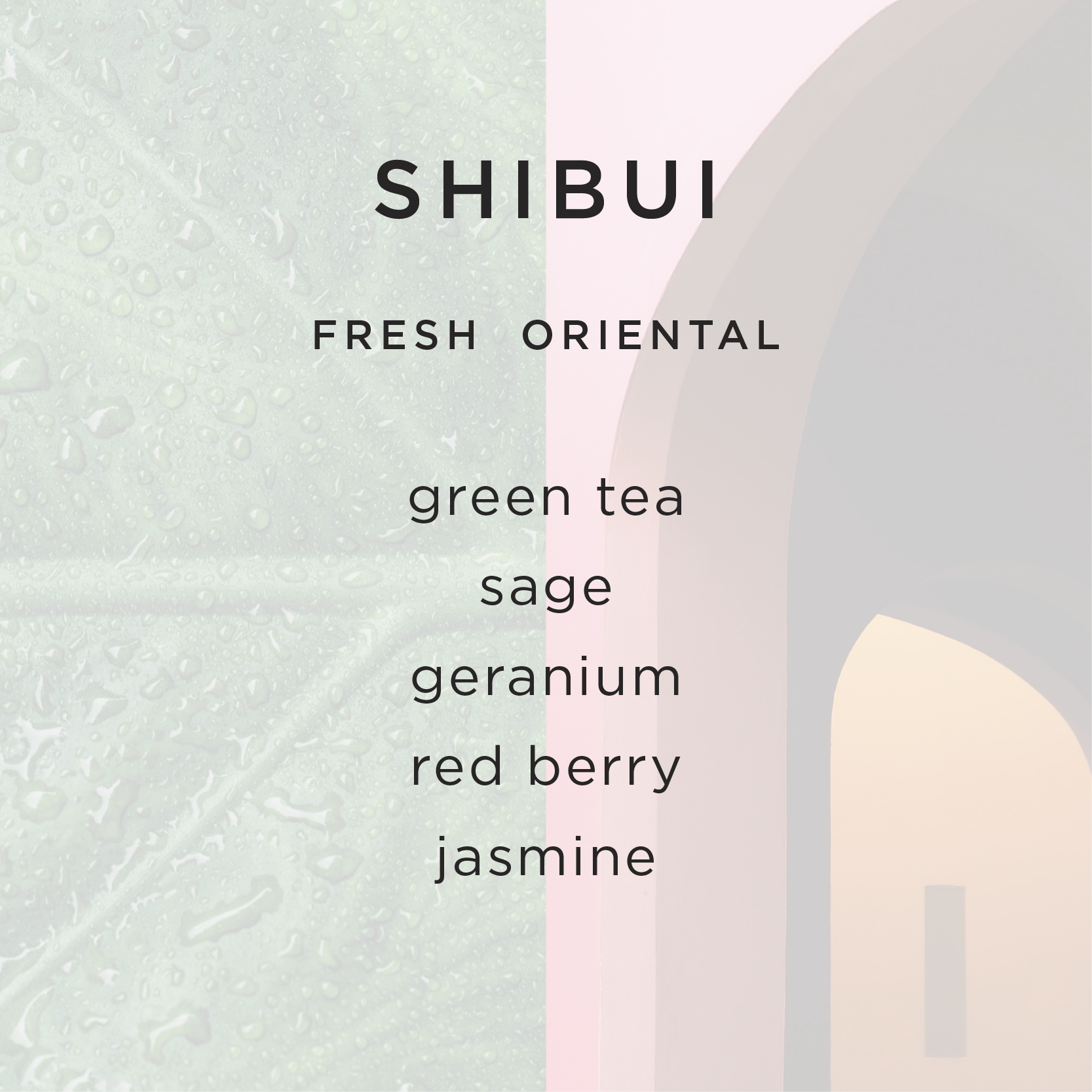 G&K_WEBSITE_PRODUCT_FRAGRANCE__SHIBUI.png