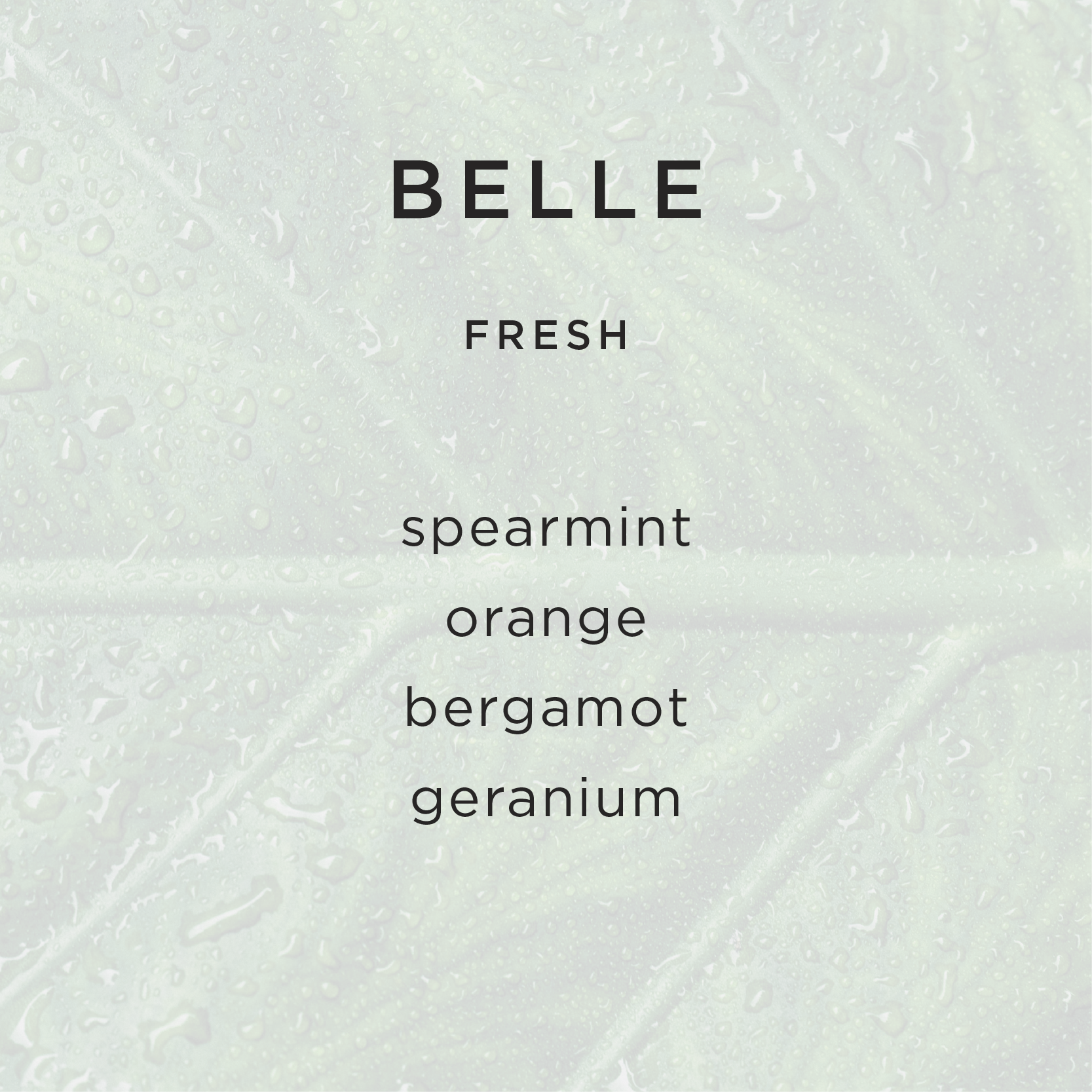 G&K_WEBSITE_PRODUCT_FRAGRANCE_BELLE.png