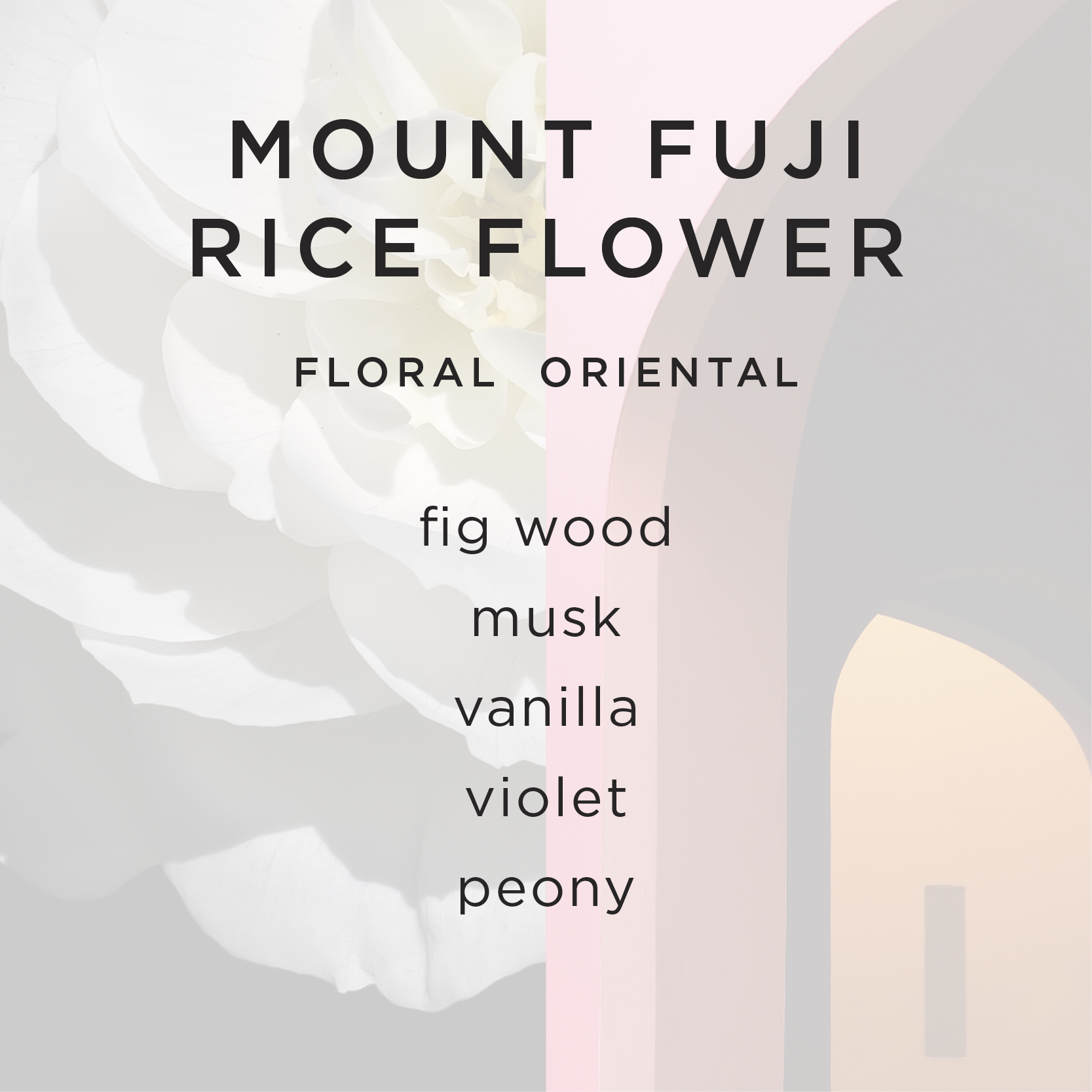 G&K_WEBSITE_PRODUCT_FRAGRANCE_MOUNT FUJI.png