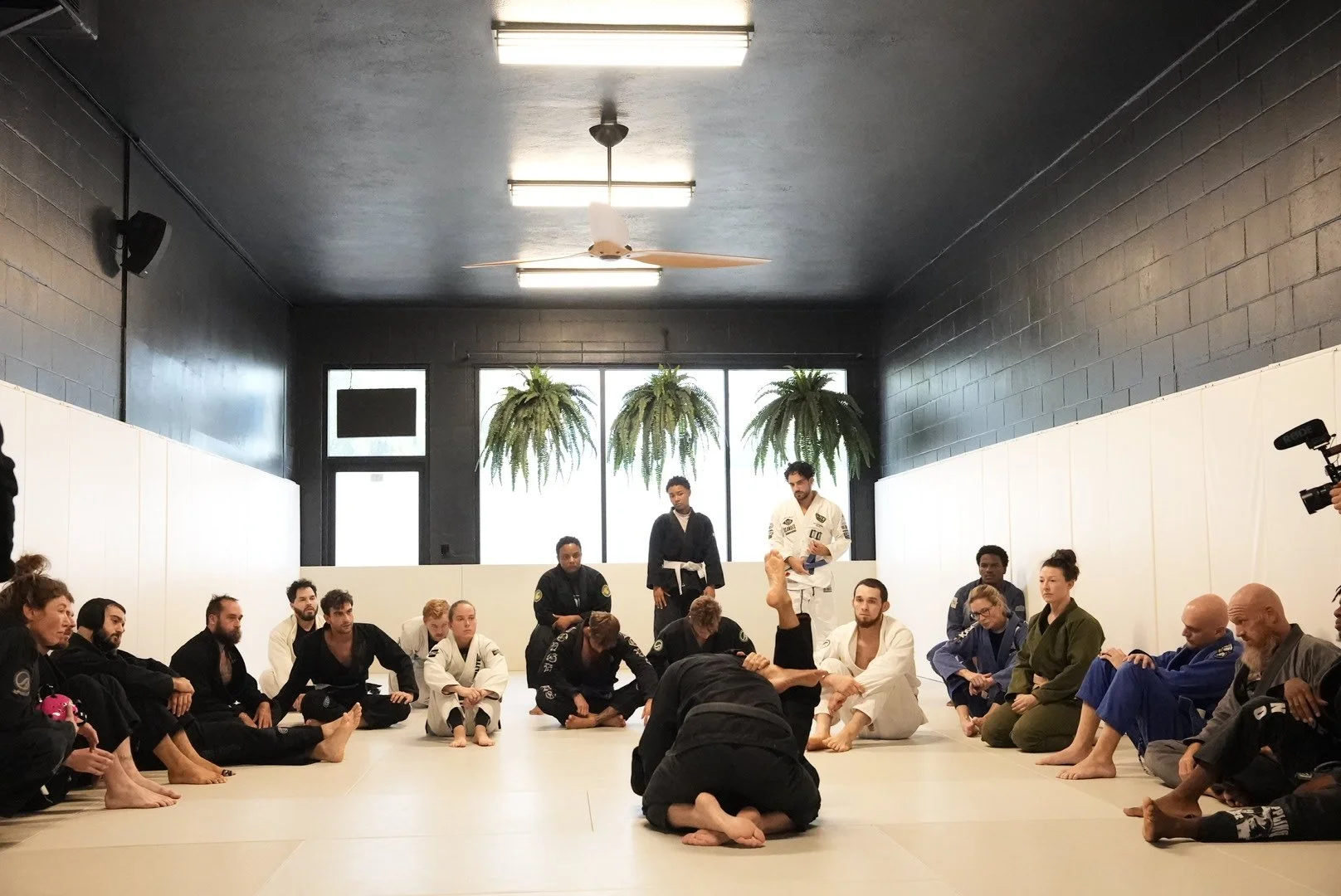 How to choose a jiu jitsu club in orlando
