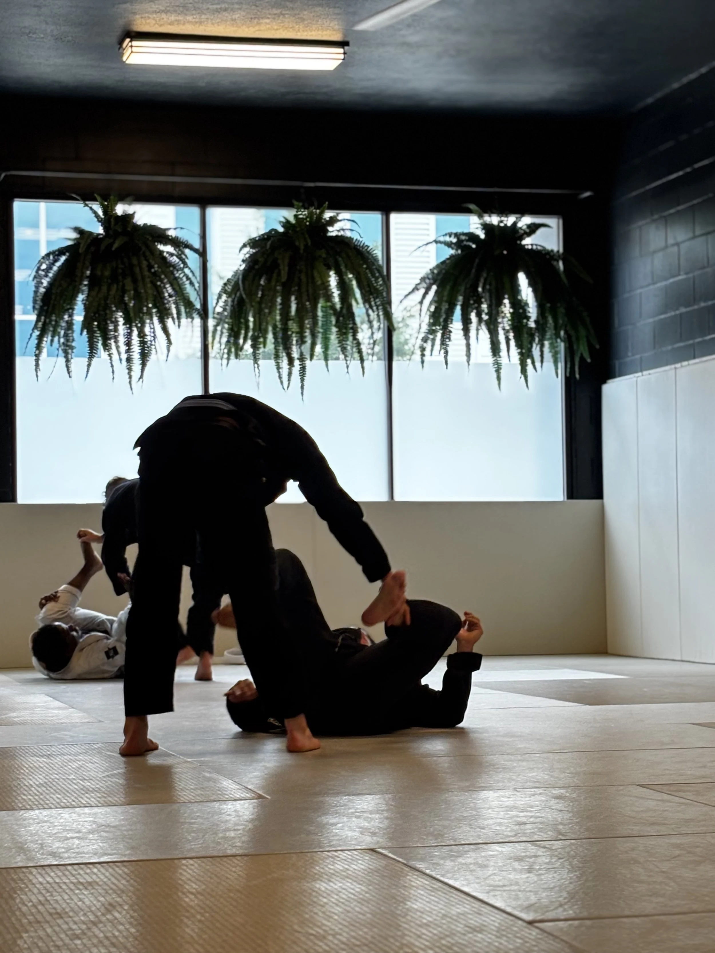 Two people practicing Jiu-Jitsu in a training room with tatami mats, one in the guard position and the other controlling the head.