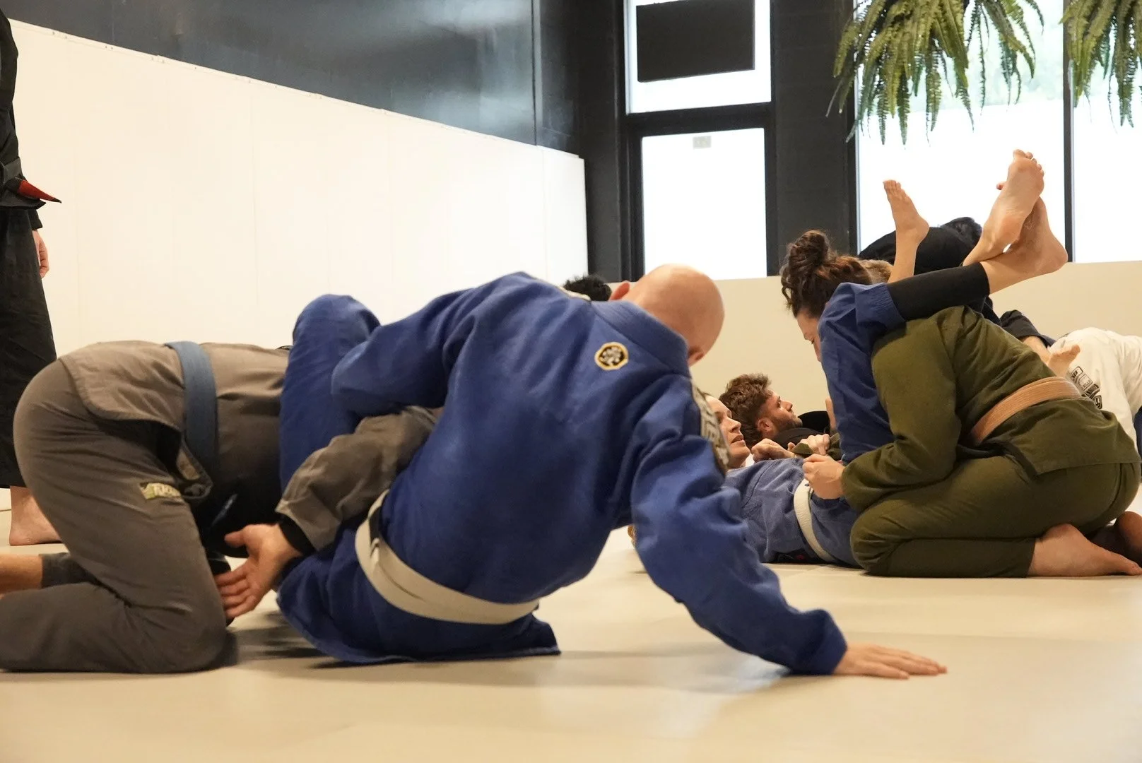 The Orlando Grappling Club