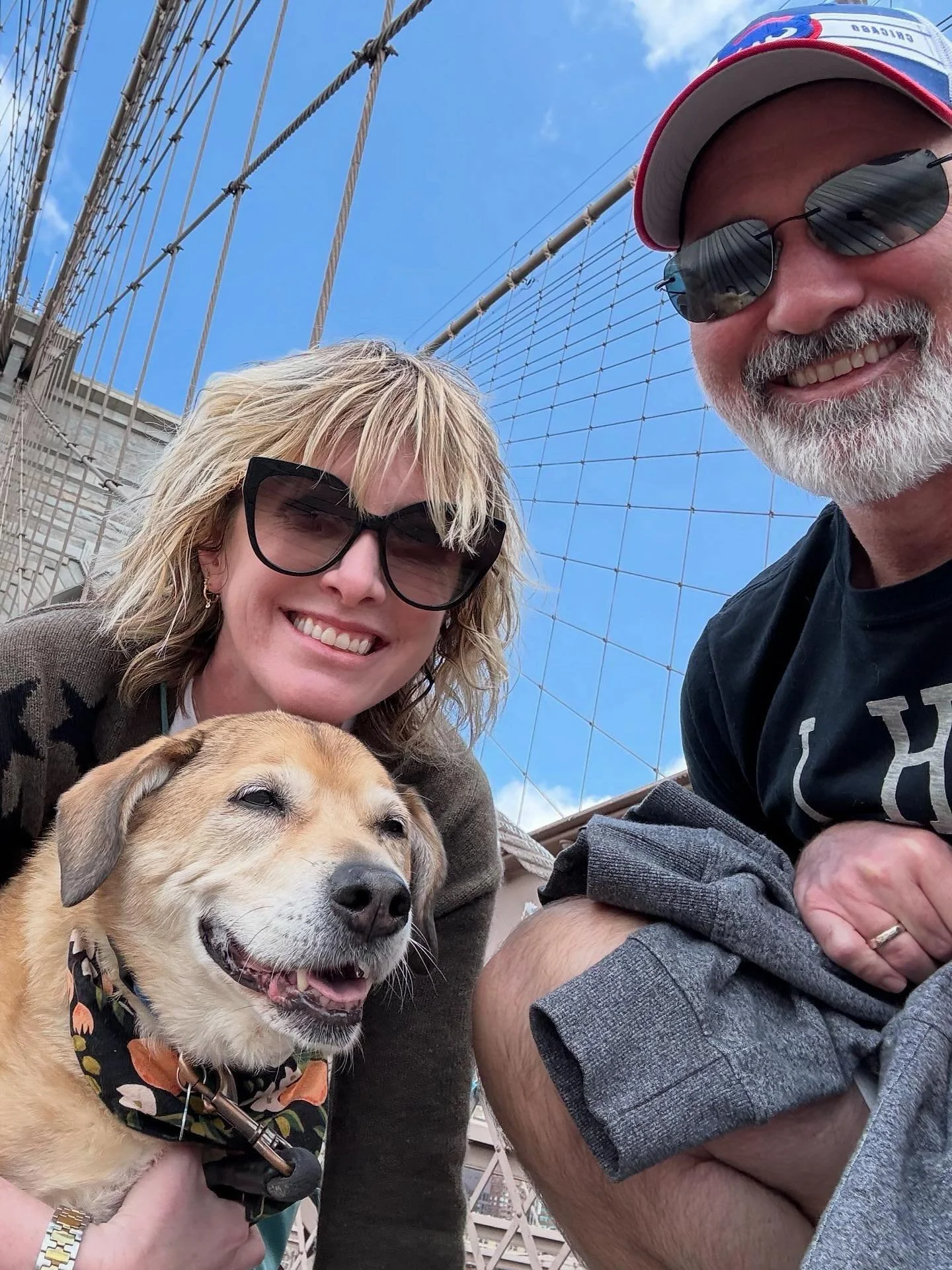 💔Our Wrigley girl is gone.
She lived the best life.
We were so damn lucky. 

I got to be her mom for half of her life. She carried me through my dad&rsquo;s death, laying with me every day until I started to feel better. 

She showed me her dad&rsqu