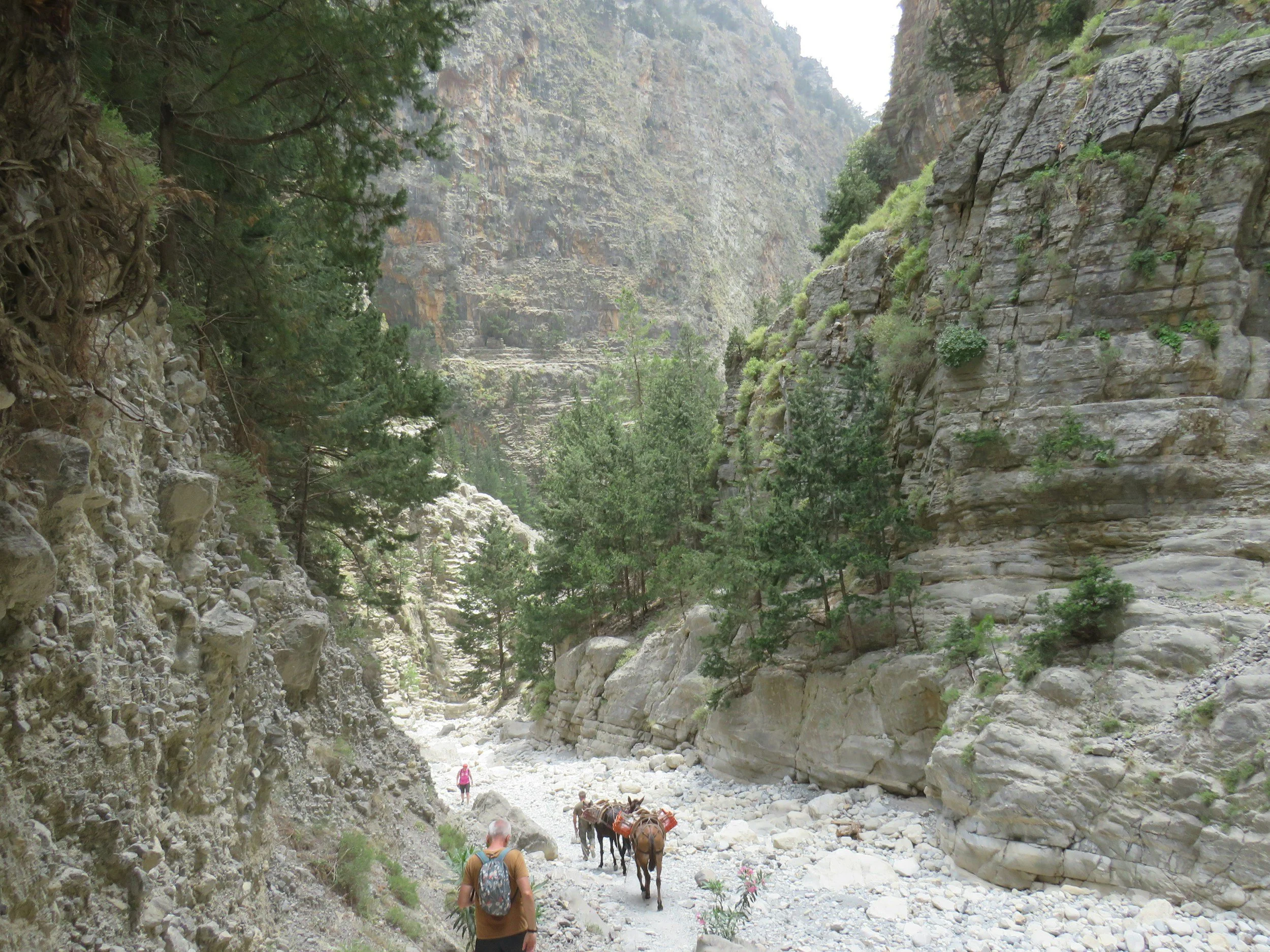 Hikers walking along the rocky trail of Samaria Gorge in Crete, Greece, surrounded by steep cliffs and pine trees. A popular September activity offering cooler weather, stunning views, and one of the island’s most famous hiking experiences.