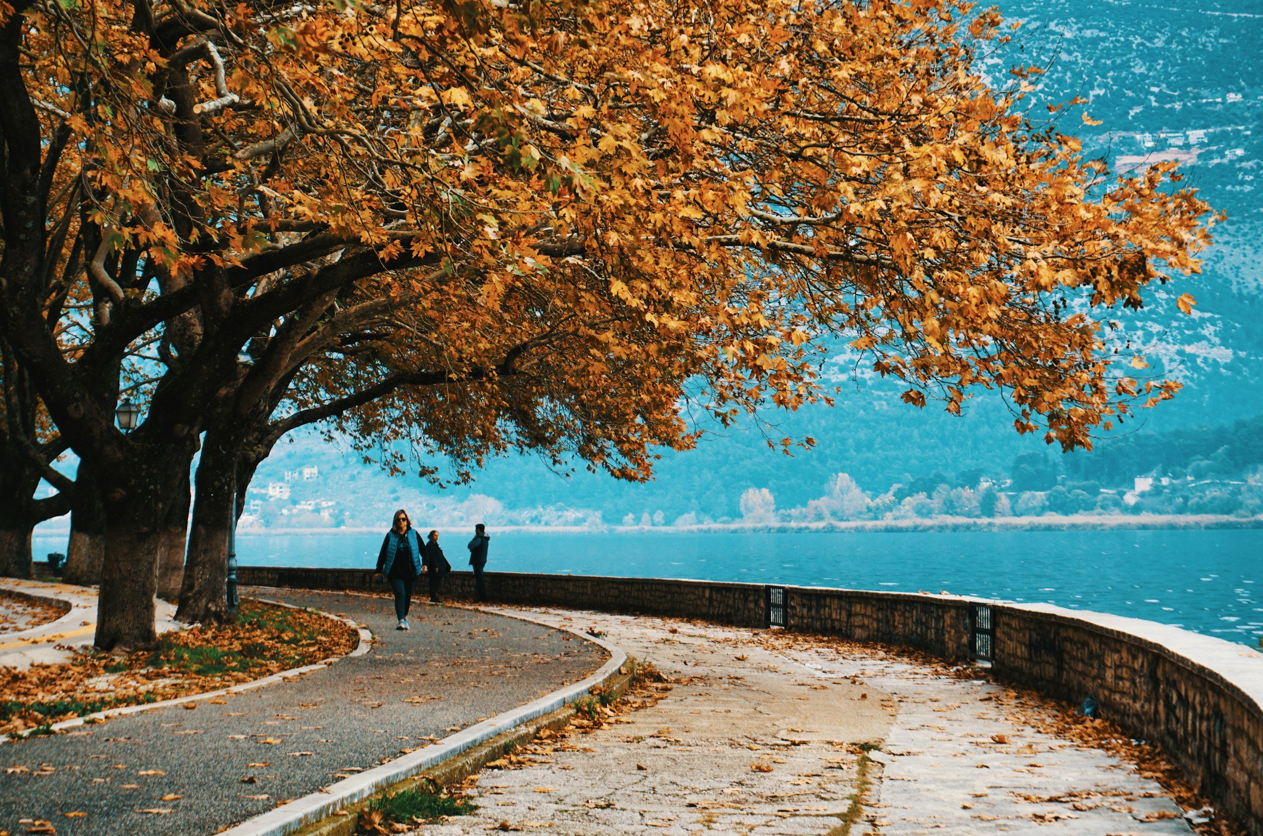 Scenic autumn walkway in Greece lined with golden-leaved trees beside a lake, with people strolling under the vibrant fall colors — capturing the beauty of Greece in autumn.