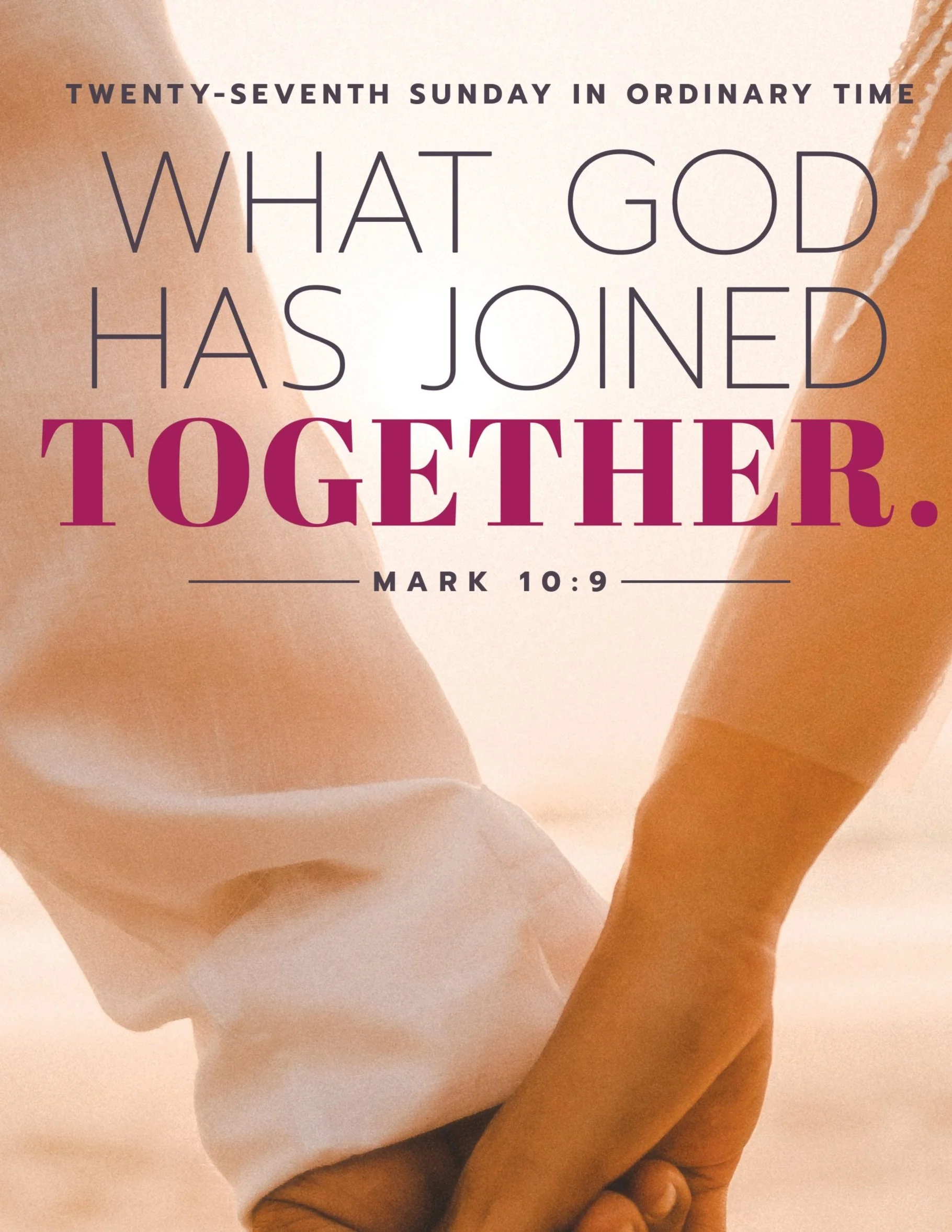 Parish Bulletin-October 6th 2024 27th Sunday in Ordinary Time