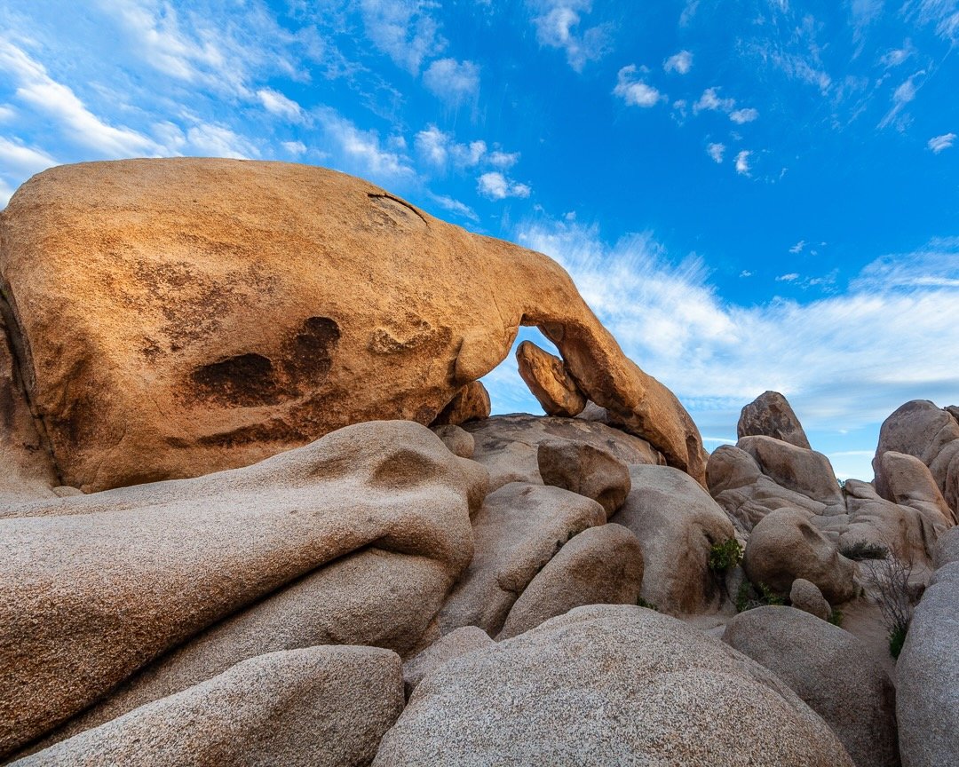 Joshua Tree_ Arch_ IG-1.jpeg