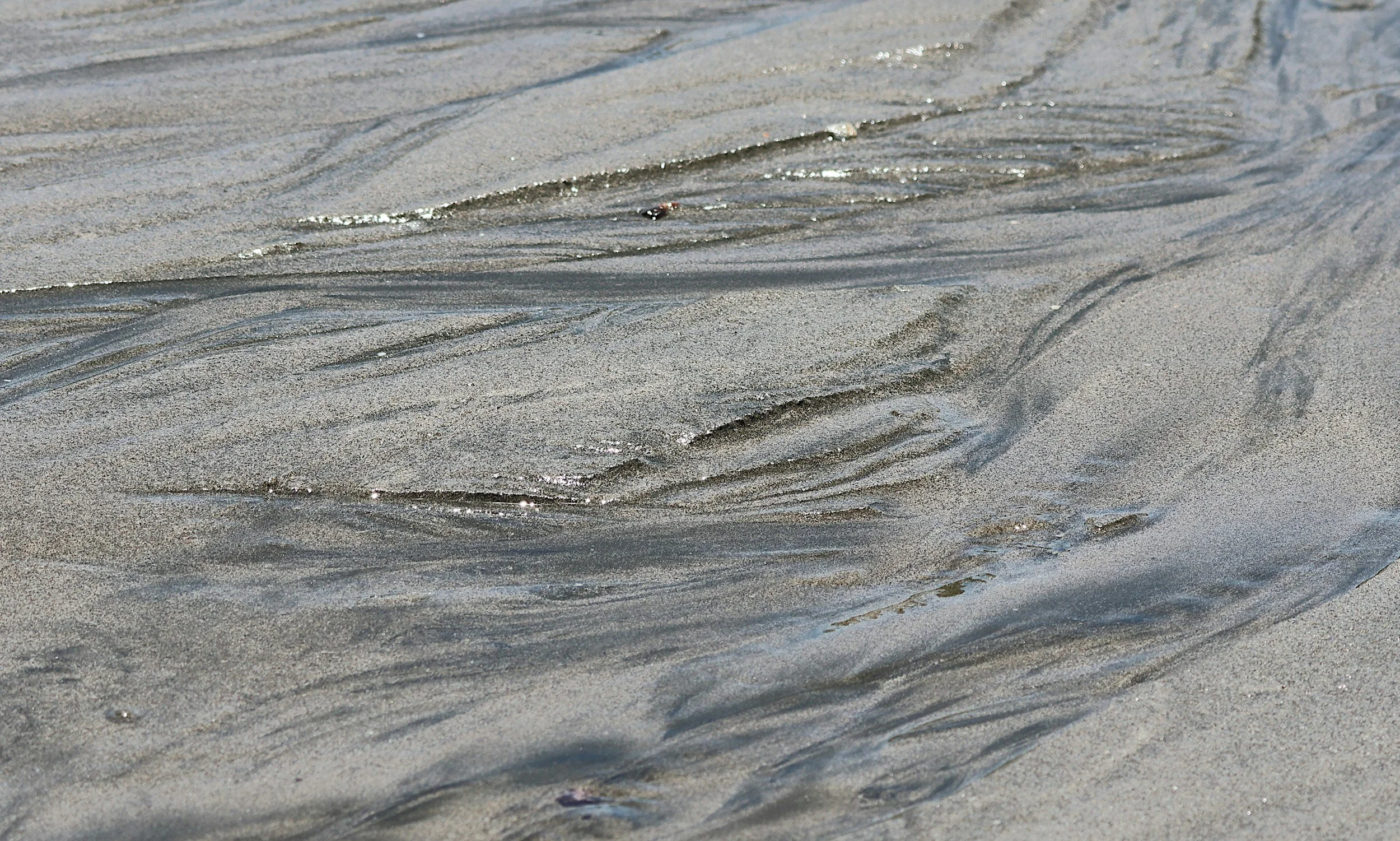 unsplash-image-UJZKdEM6aqY.jpg