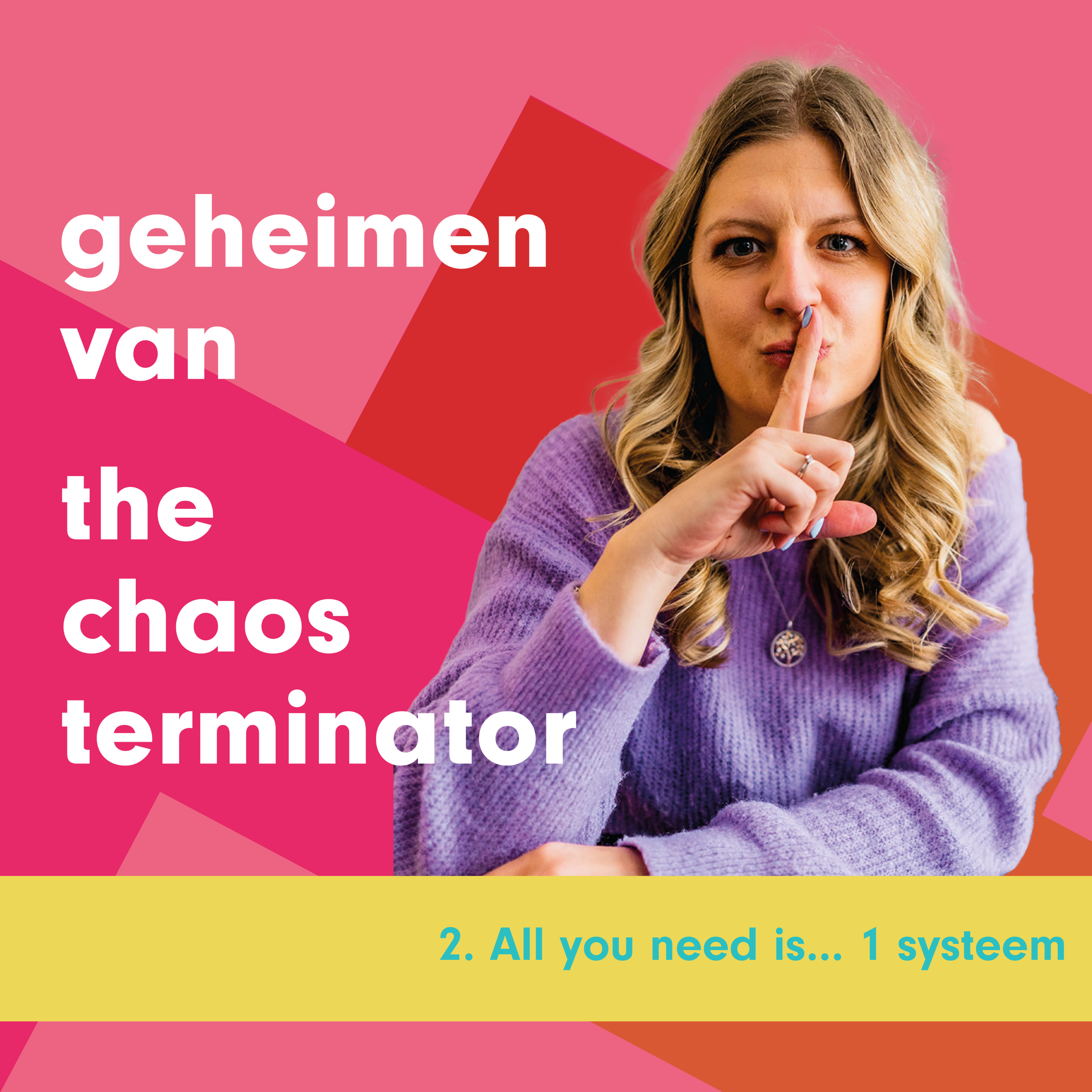 Afl 2: All you need is... 1 systeem