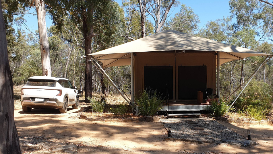 Electric road trip to Carnarvon Gorge 