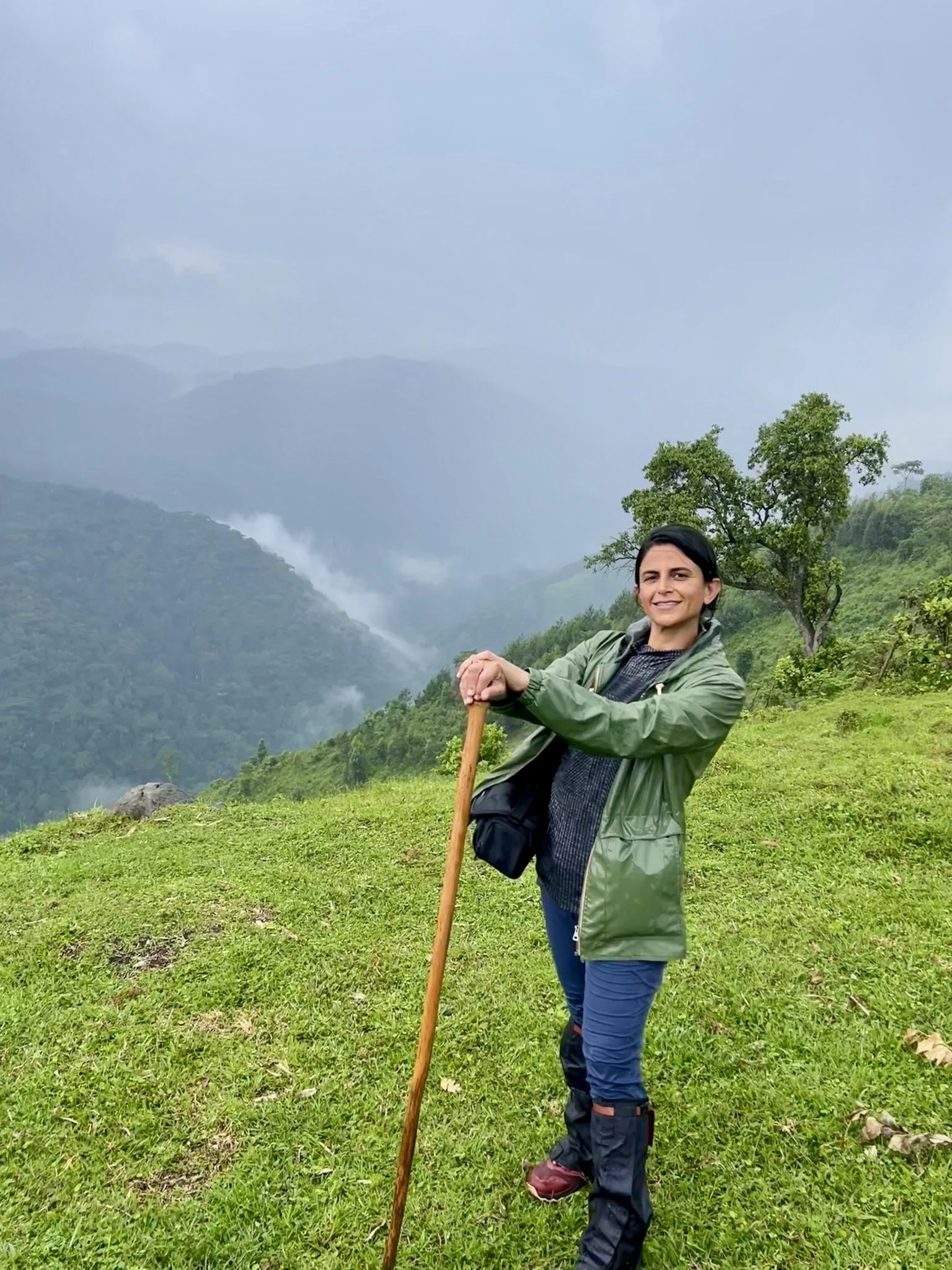 Trekking in the Rwenzori Mountains in Uganda