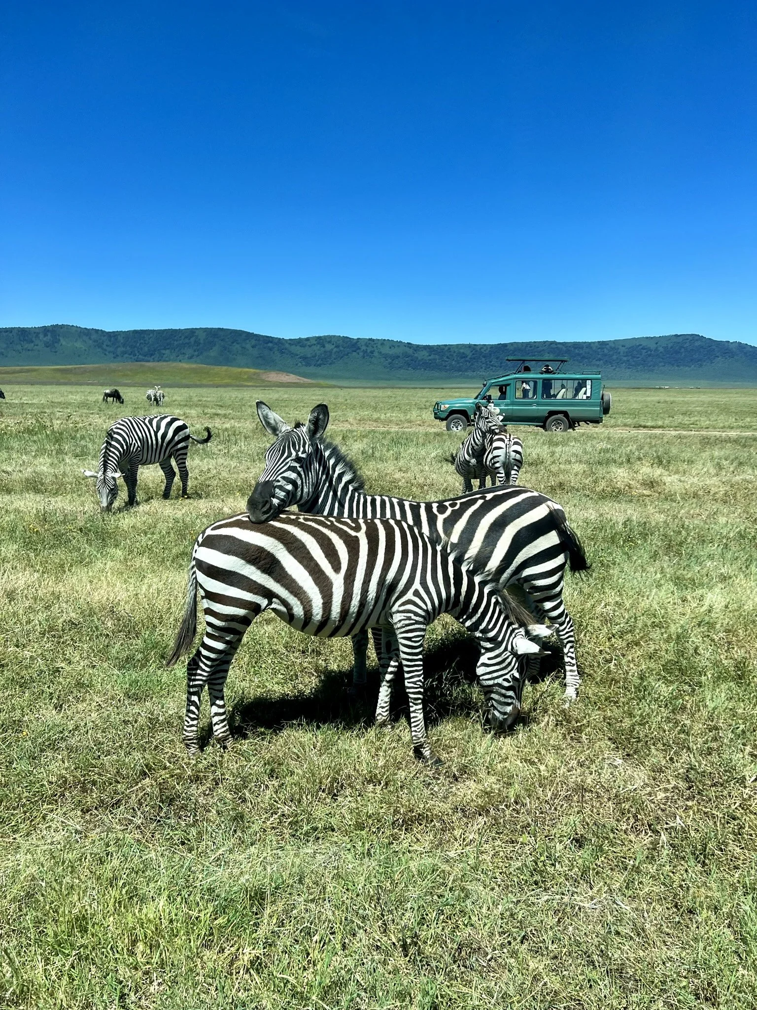 On safari in Uganda