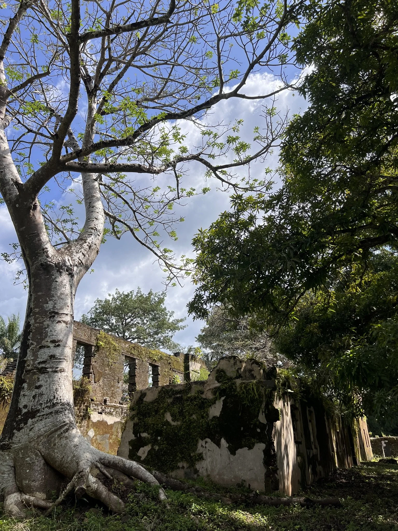 Slave Castles on Bunce Island, Sierra Leone