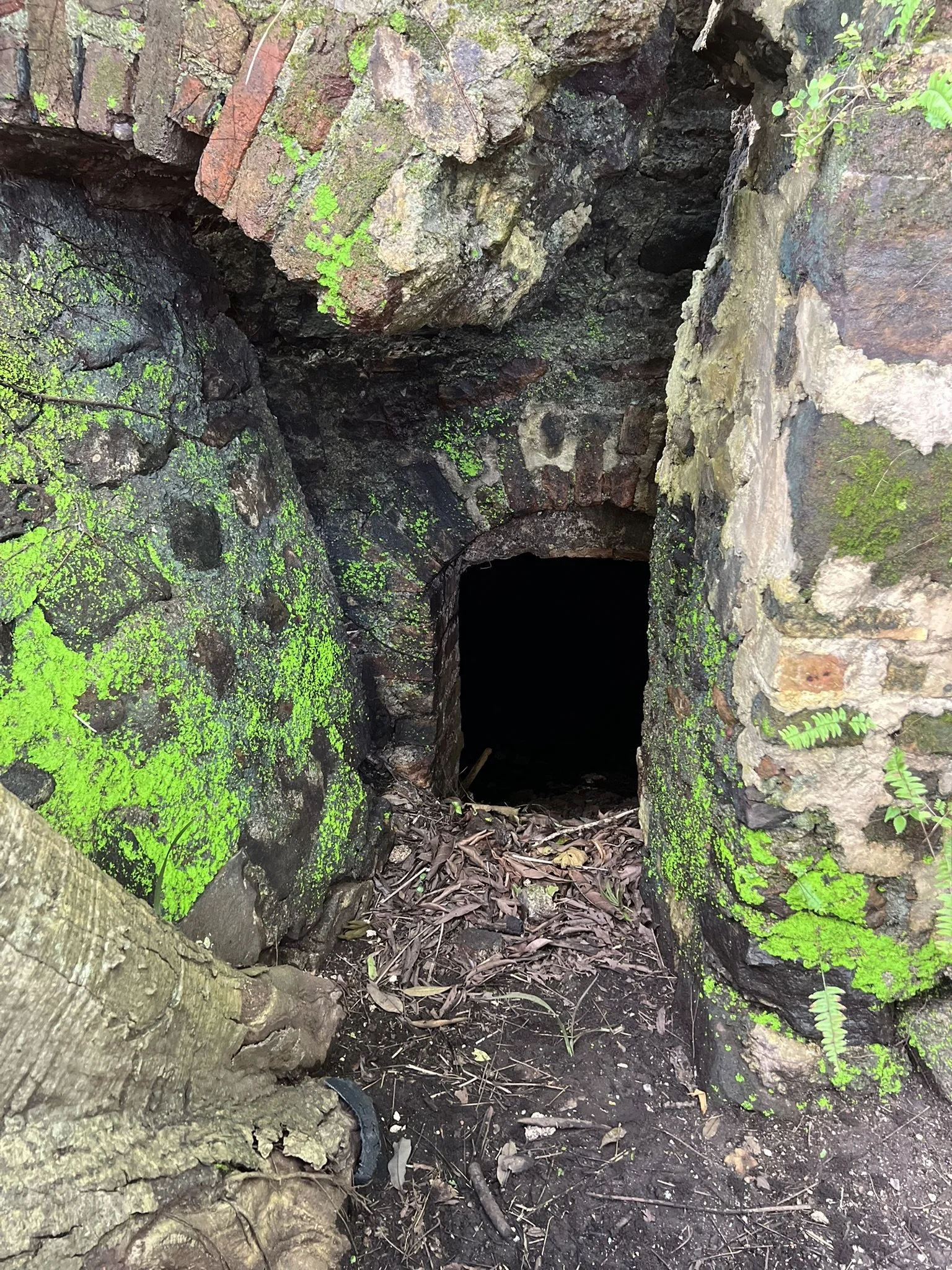 Entrance of underground torture cave, Bunce Island, Sierra Leone