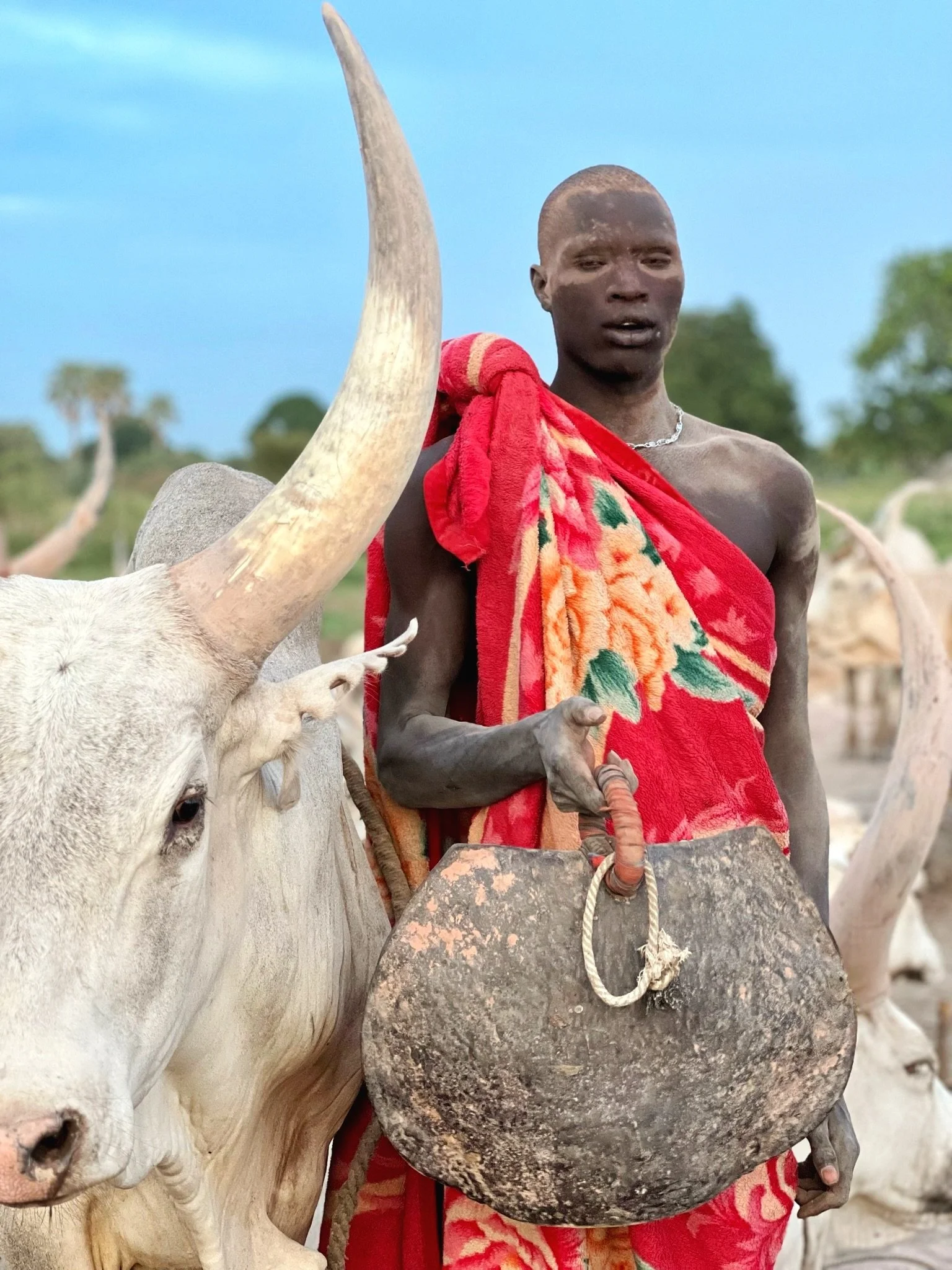 mundari-tribe-man-cattle-south-sudan.jpg