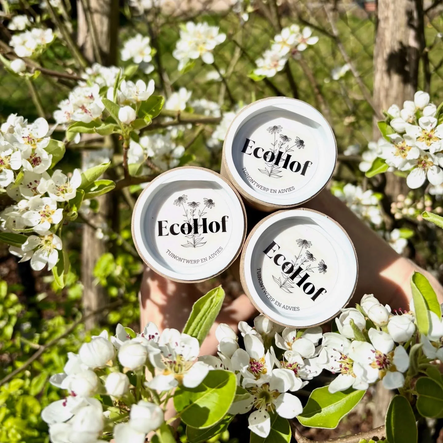 3 nieuwe tuinontwerpen gefinaliseerd die klaar zijn om per post verstuurd te worden naar Genk, Zemst en Diest 🕊️ ✍🏻 

#tuinontwerp #ecohof #handgetekend #ecologischetuin #eetbaretuin