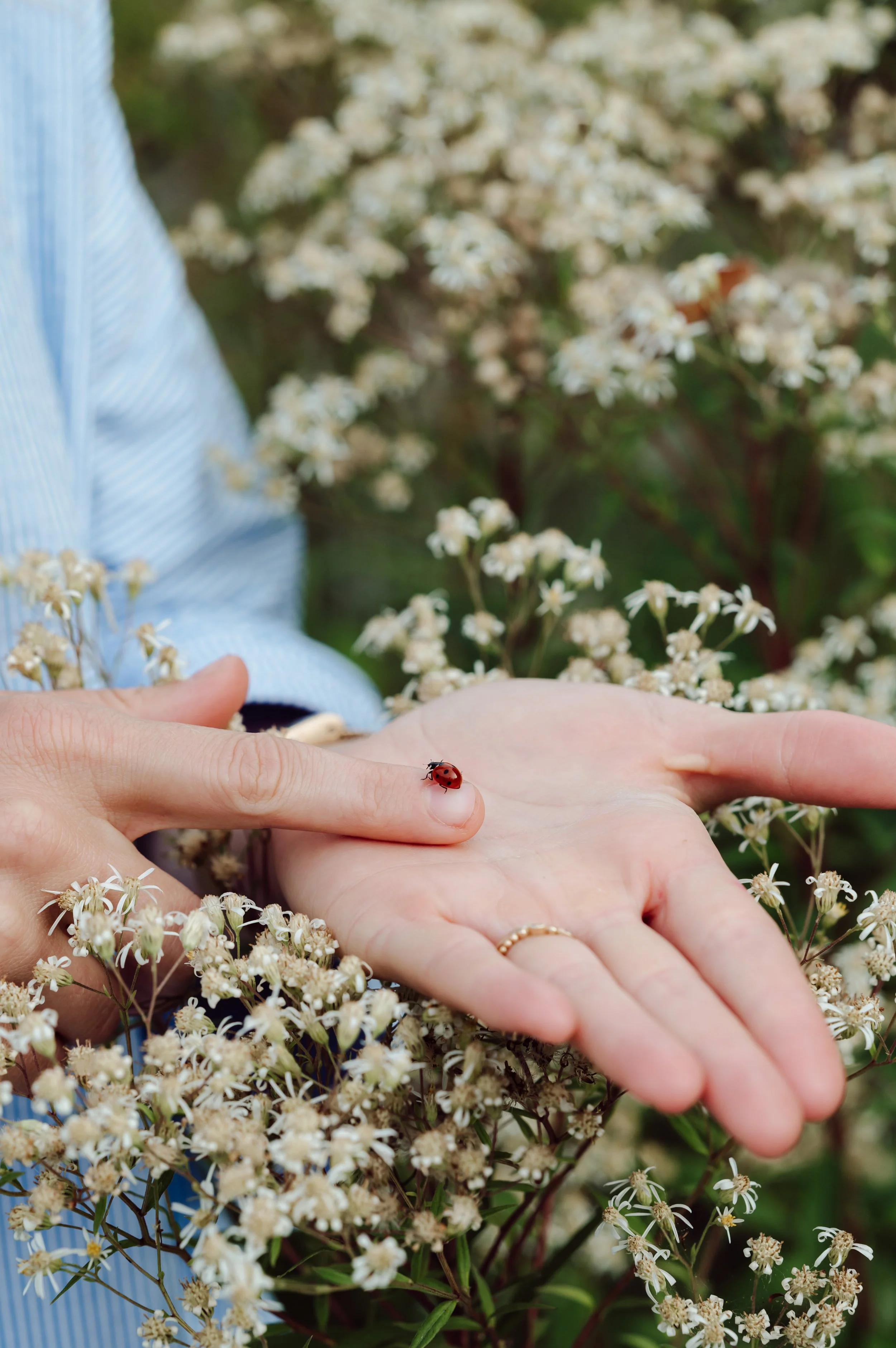 Caroline Couck Photography_Ecohof-39.jpg