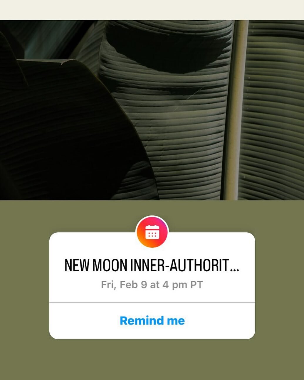 Please join me for a Healing New Moon Inner-Authority Meditation and Energetic Tune Up today, Feb. 9th, at 4 pm PST on Instagram Live. Get a reminder by clicking button above.

What does Inner-Authority mean to you? Let&rsquo;s tune-in together using