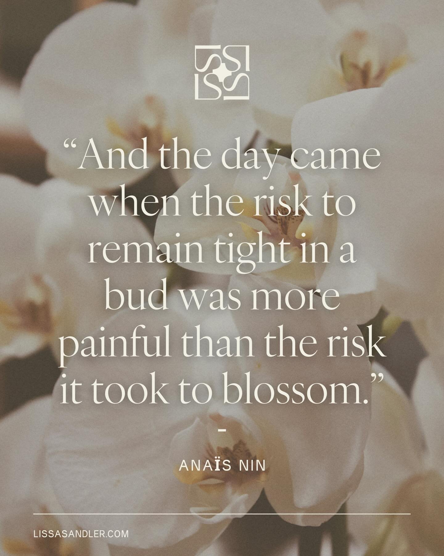 There comes a moment when staying where you are begins to feel heavier than opening.

Not because you&rsquo;ve figured everything out. But because something within you is ready.

Ready to soften.
Ready to be seen.
Ready to trust what&rsquo;s unfoldin