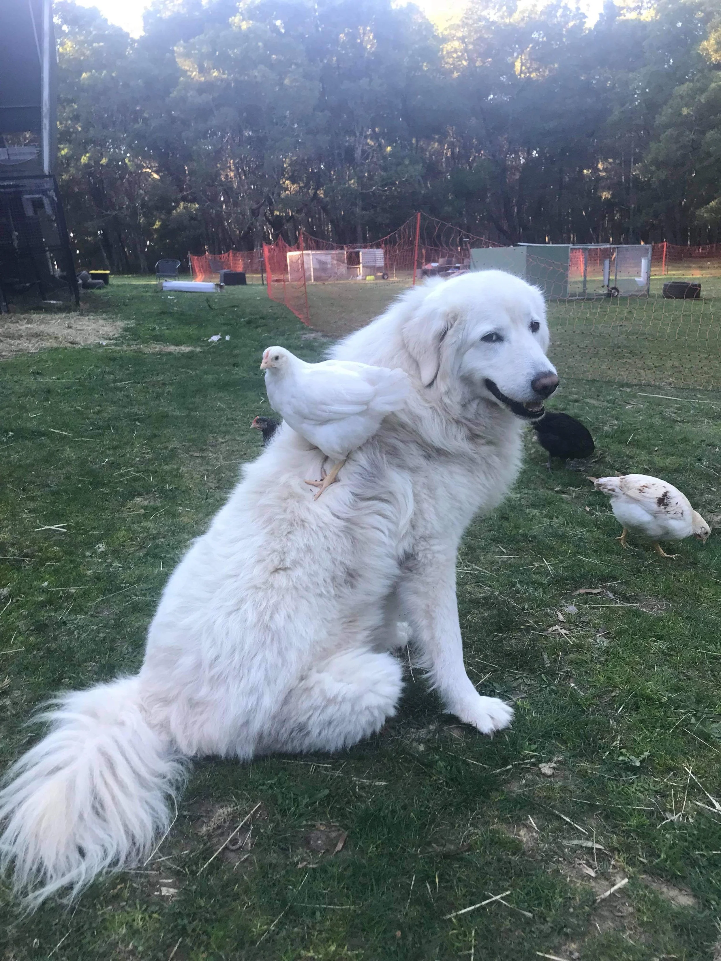 I asked 14 people what self growth meant to them, here’s what they said.