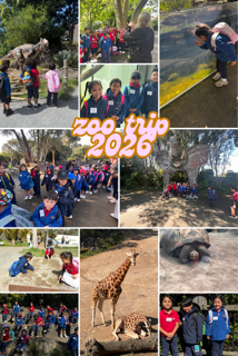 Auckland Zoo Trip 2026