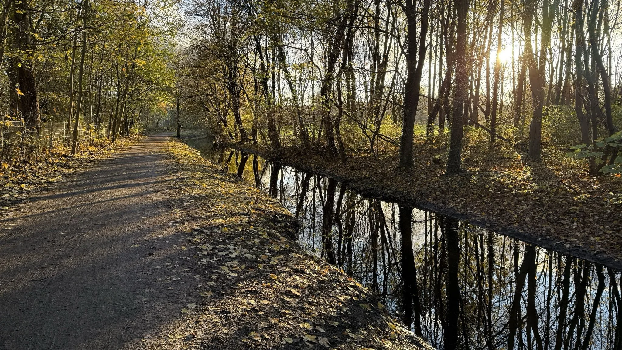 Your Nervous System Is a Portal to Your Soul