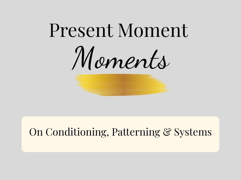 Present Moment Moments Videos: On Conditioning, Patterning and Systems