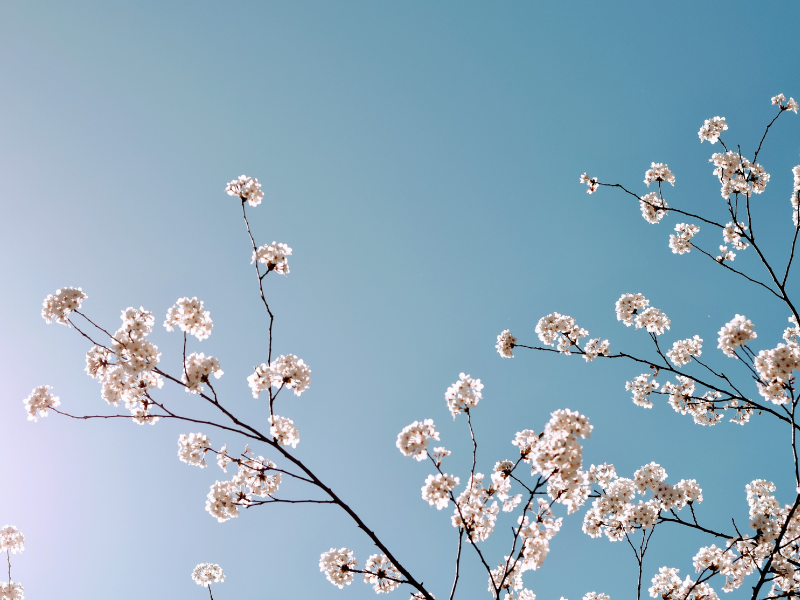Reframing Belonging
